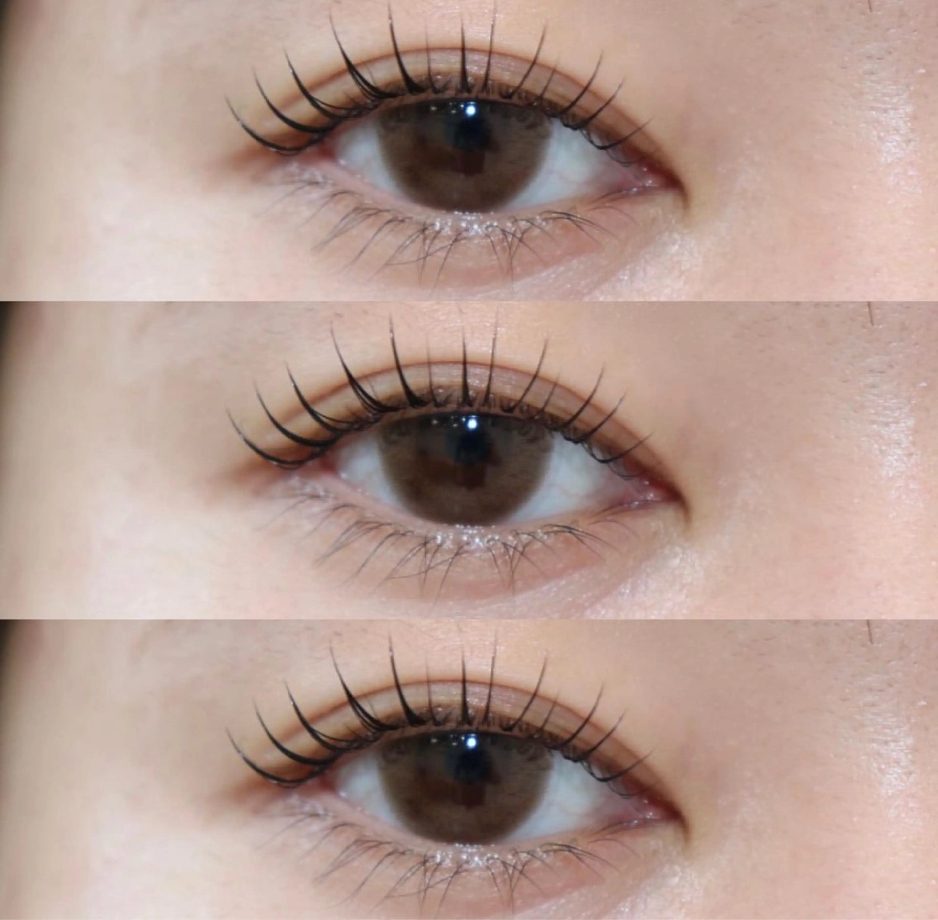 似合わせラッシュリフトの写真