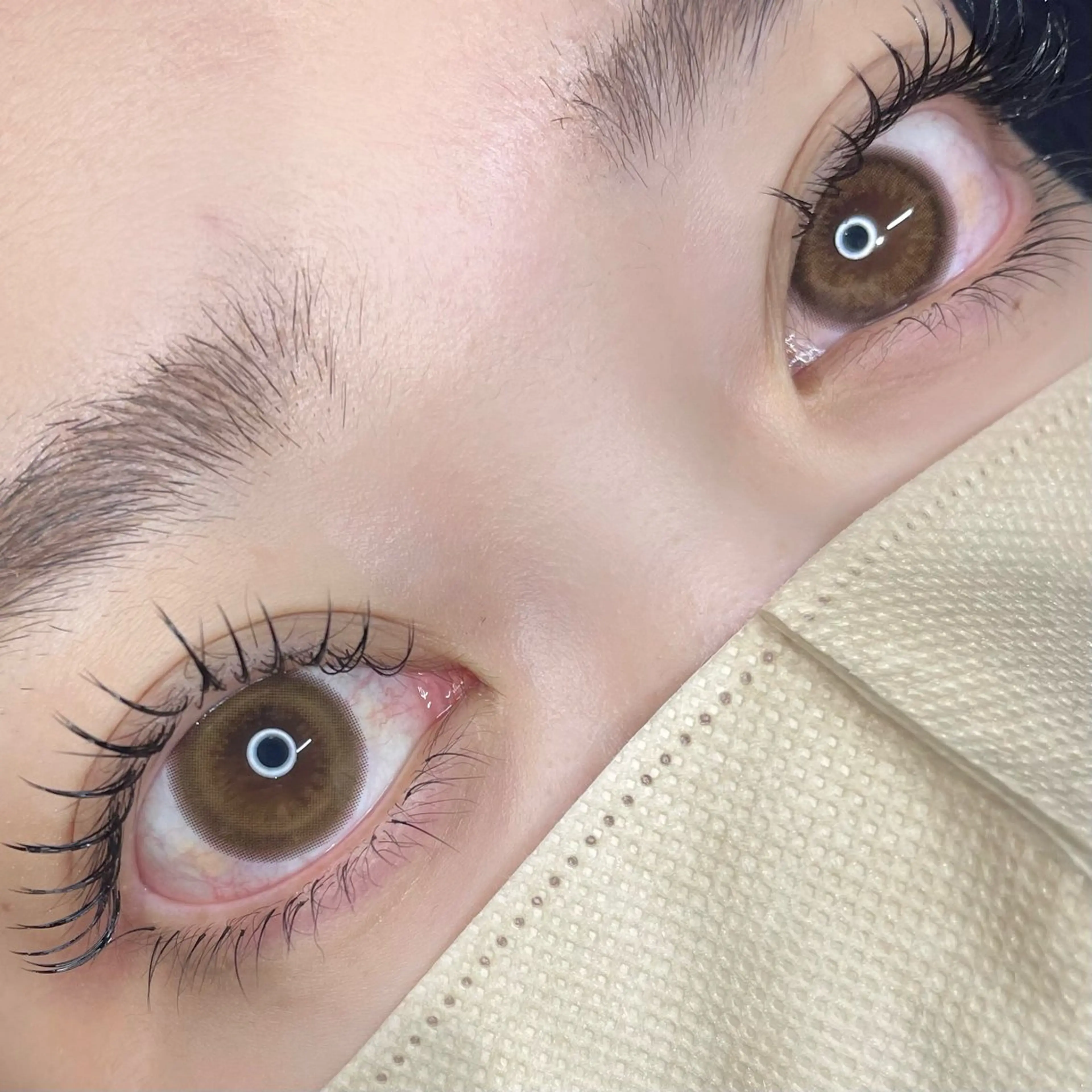 🪽フラットラッシュ100本【お付け足し不可⚠️オフ有は別途￥550】の写真