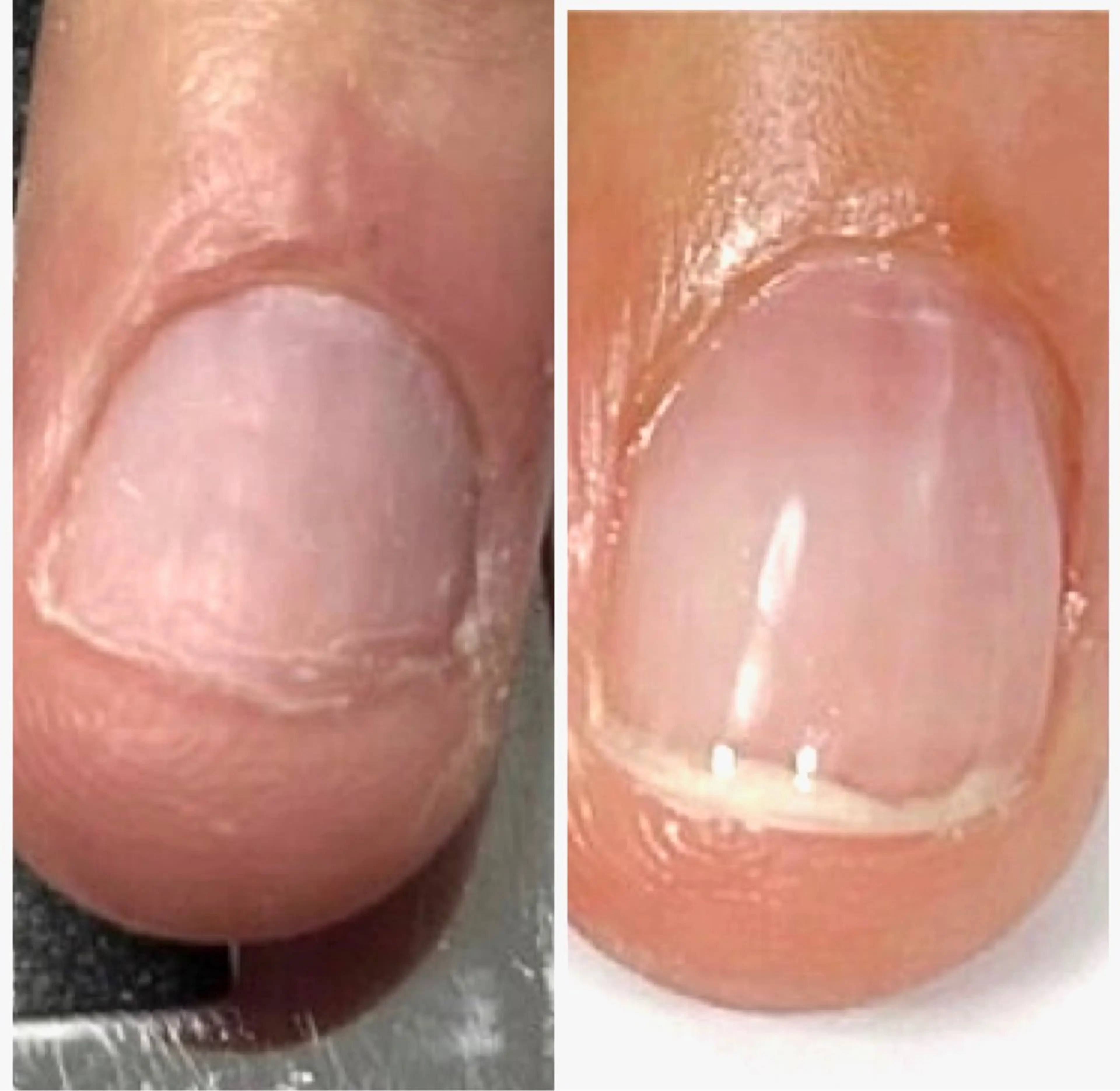 ネイル Elle& staffのネイルデザイン