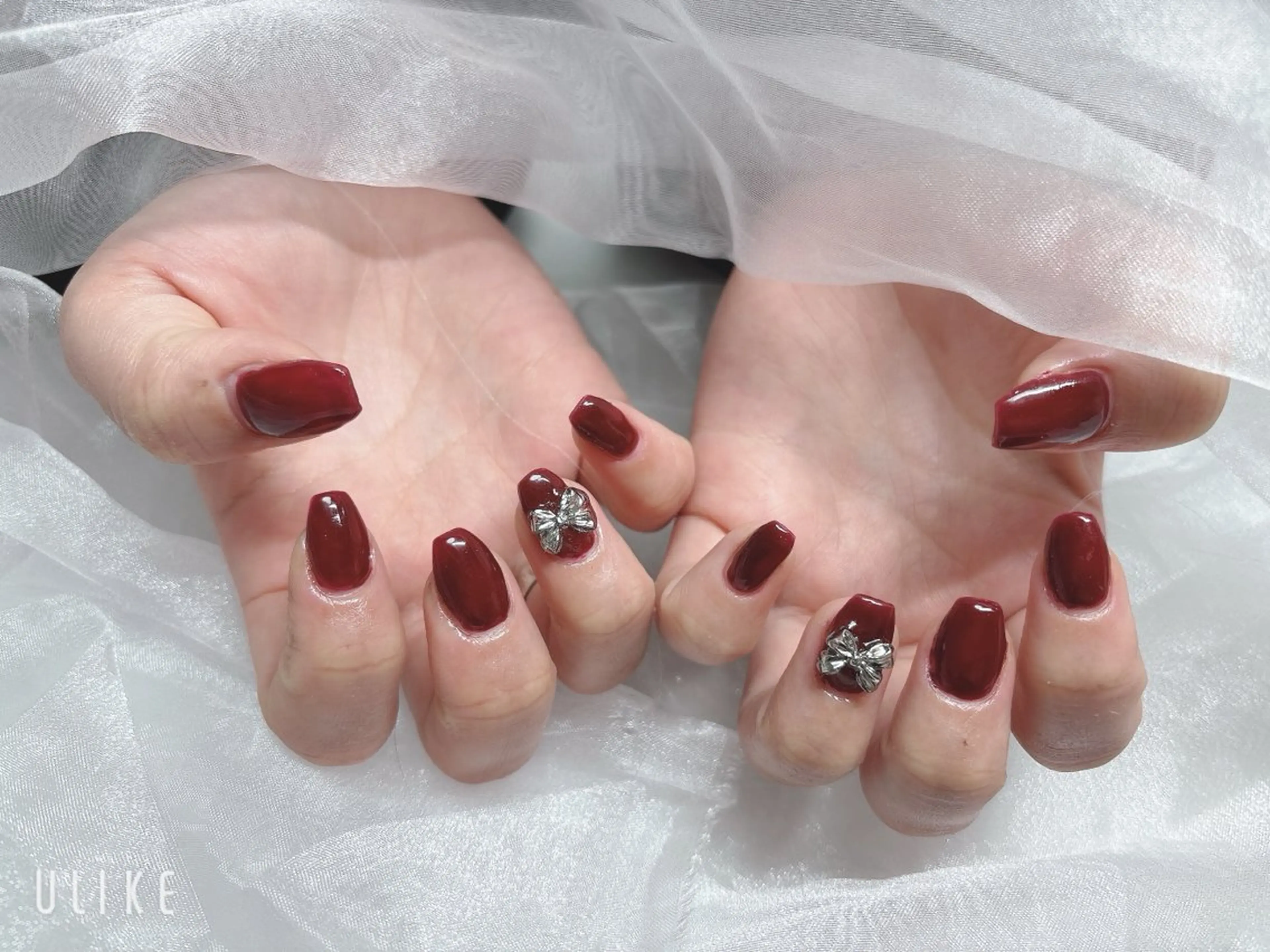 ネイル ボルドー リボン BABY LION :Fumiyoのネイルデザイン