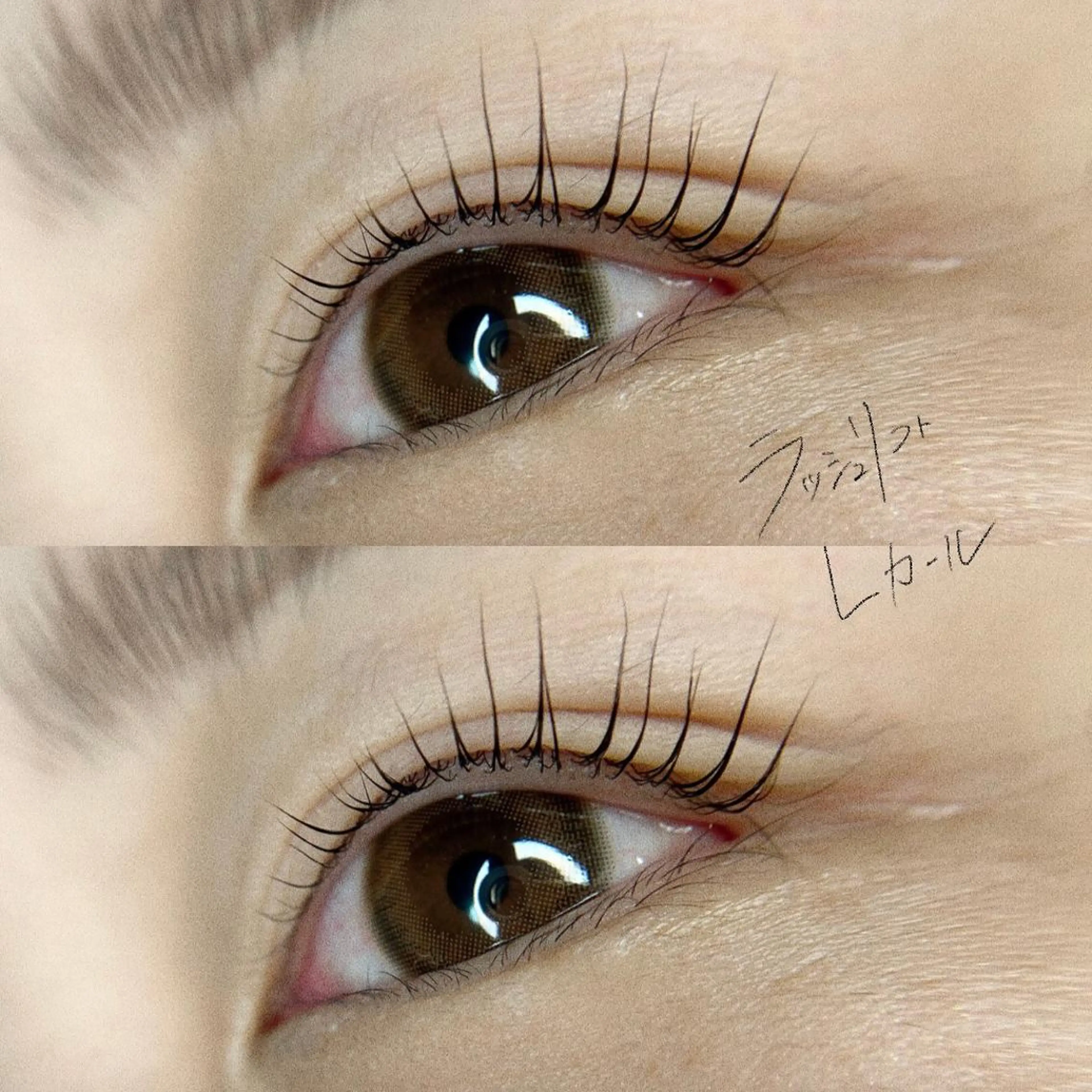 マツエク・マツパ マツパ Ohata Megumiの眉毛・アイブロウイメージ