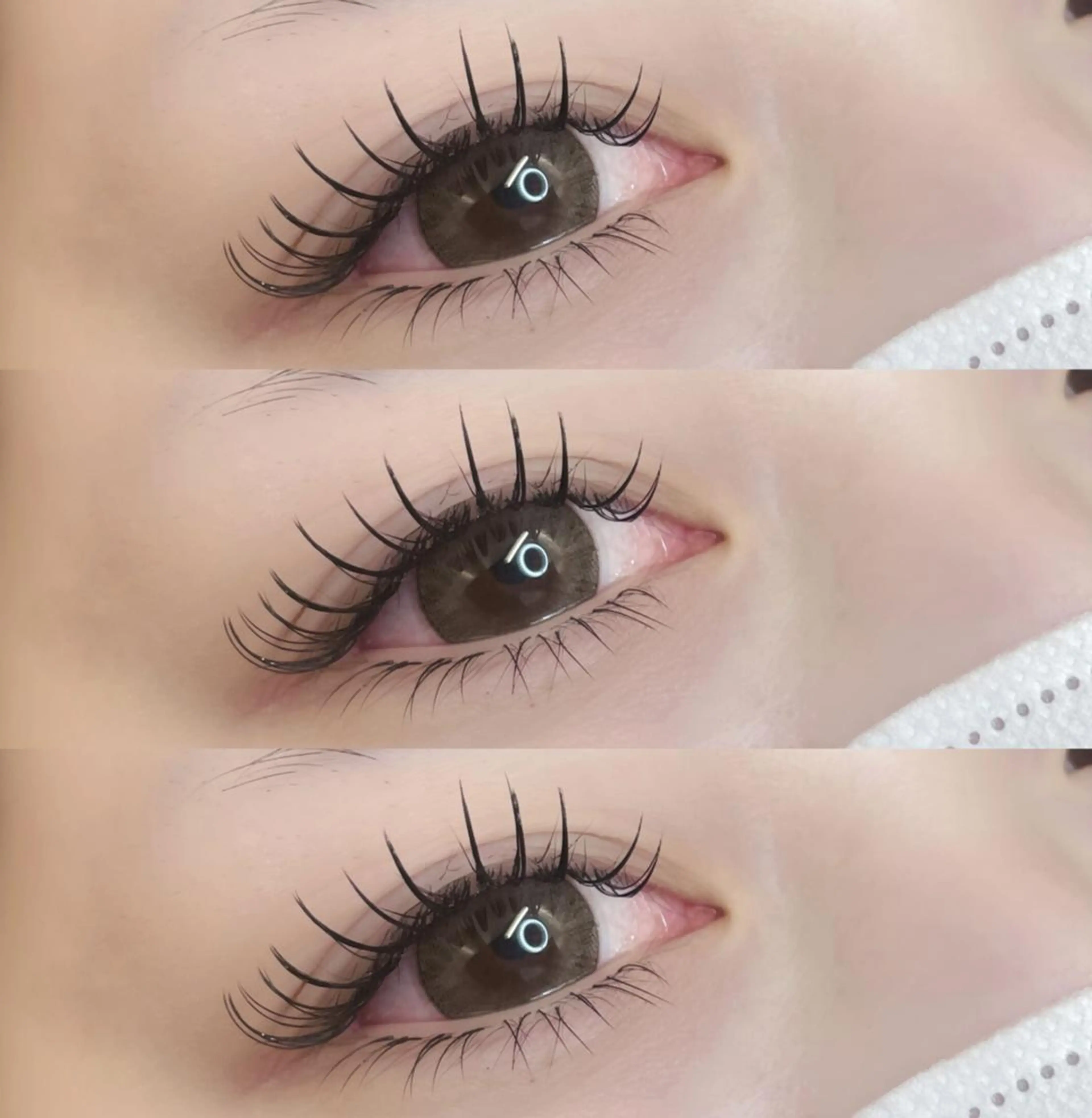 マツエク・マツパ 束感まつ毛 フラットラッシュ ワンホンマツエク マツエク 🌈fein.トータ ルビューティー🌈のマツエク・マツパデザイン