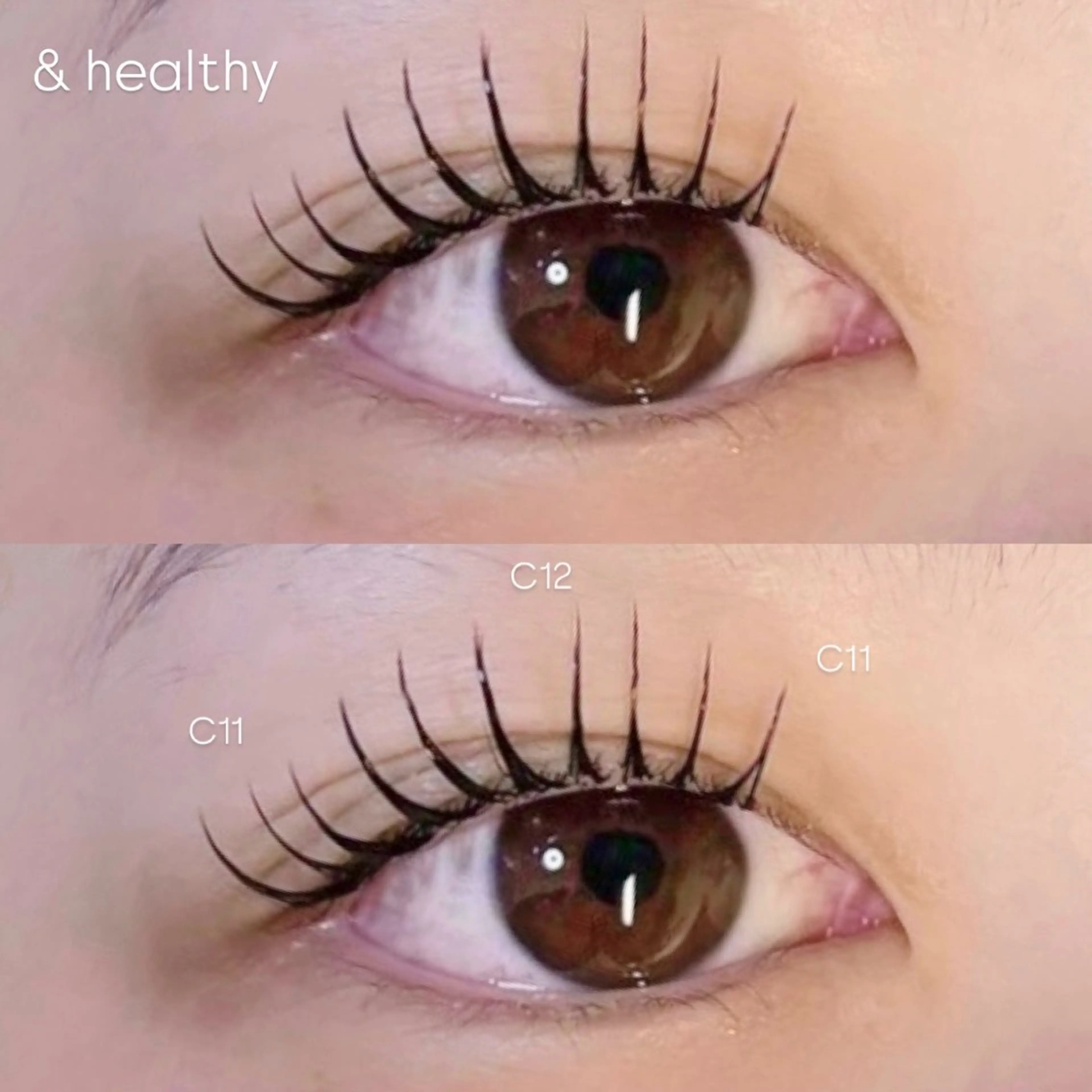 マツエク・マツパ Plus Elima所属・Plus Elima / RIOのマツエク・マツパデザイン