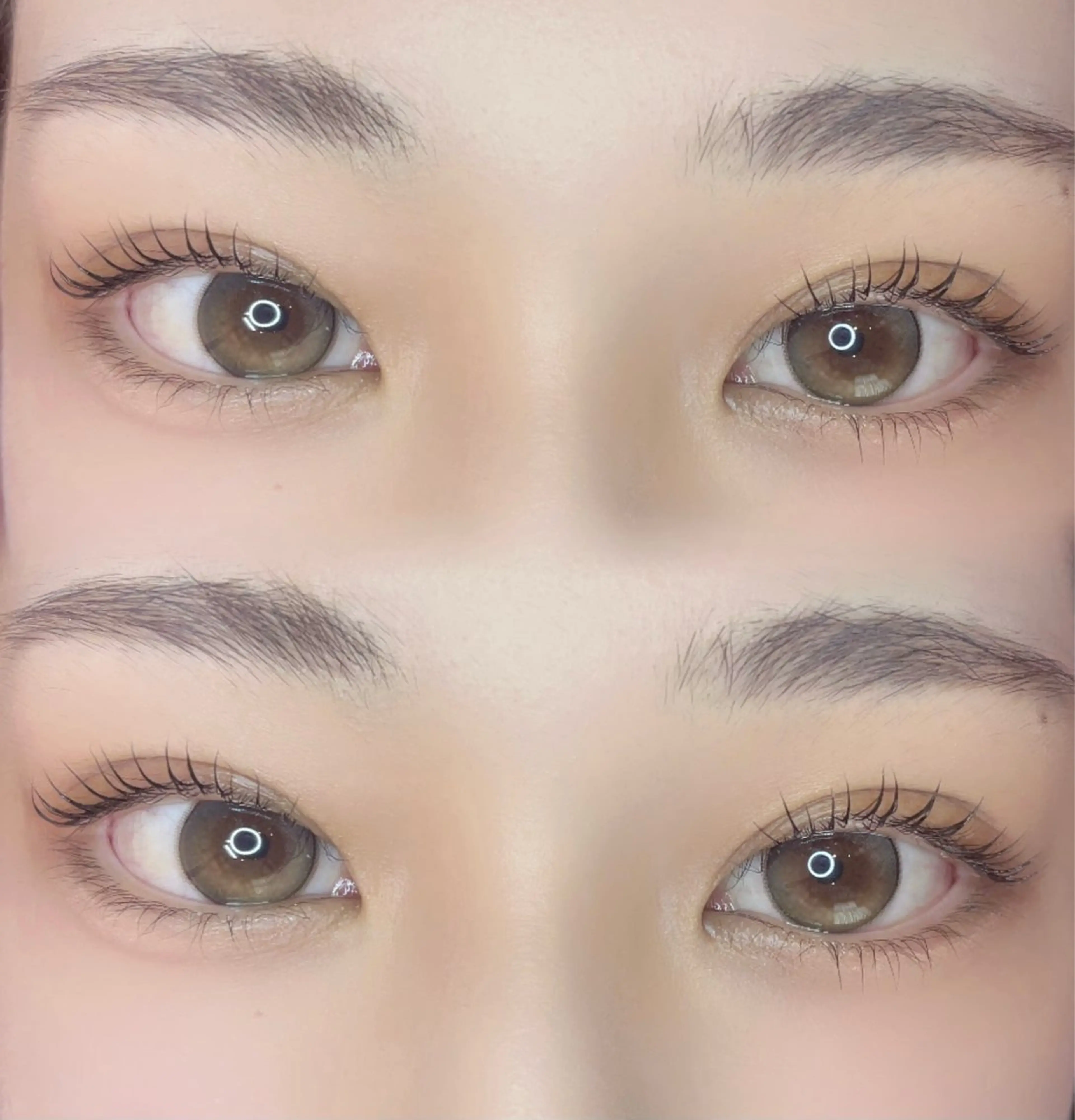 当店大人気🎄新規様限定1回目40%オフ🎅🏻パリジェンヌラッシュリフト(上まつ毛パーマ)コーティング仕上げの写真