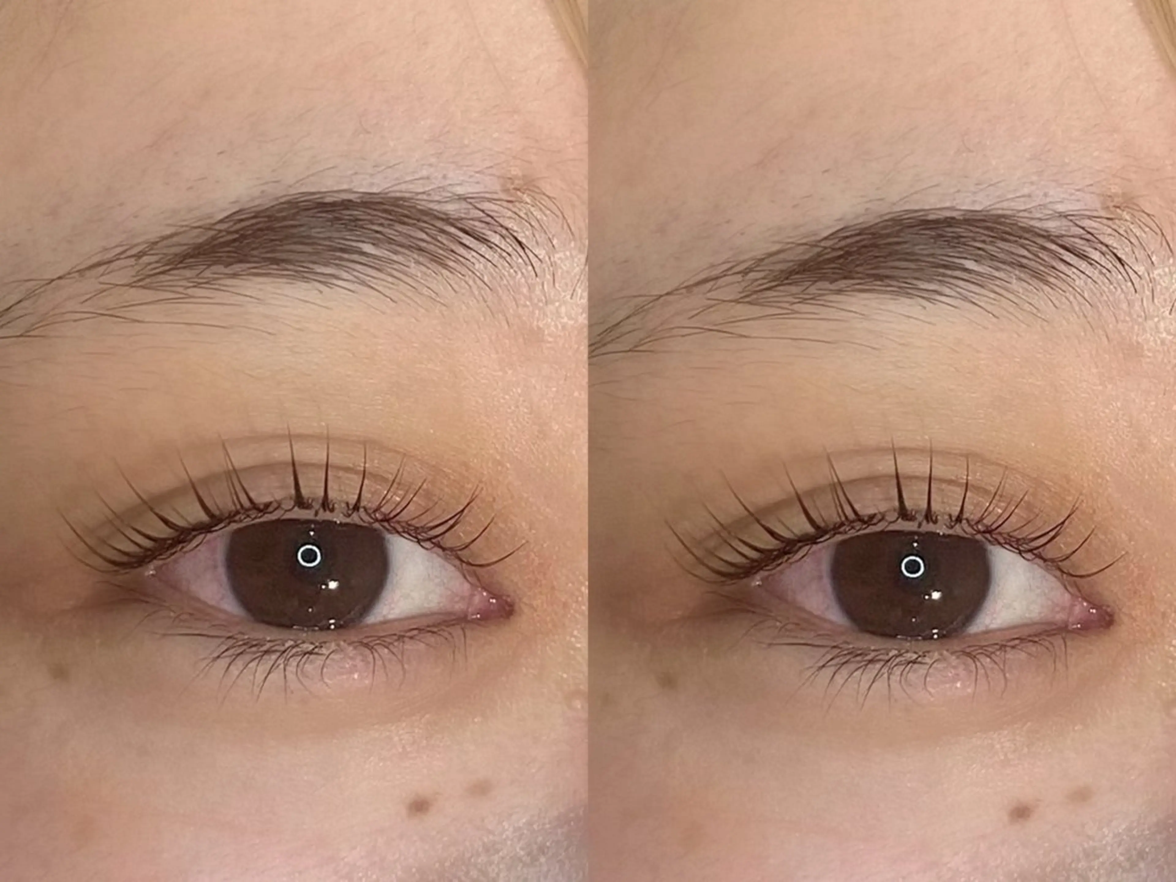 マツエク・マツパ EYELA熊本店 YUZUのマツエク・マツパデザイン