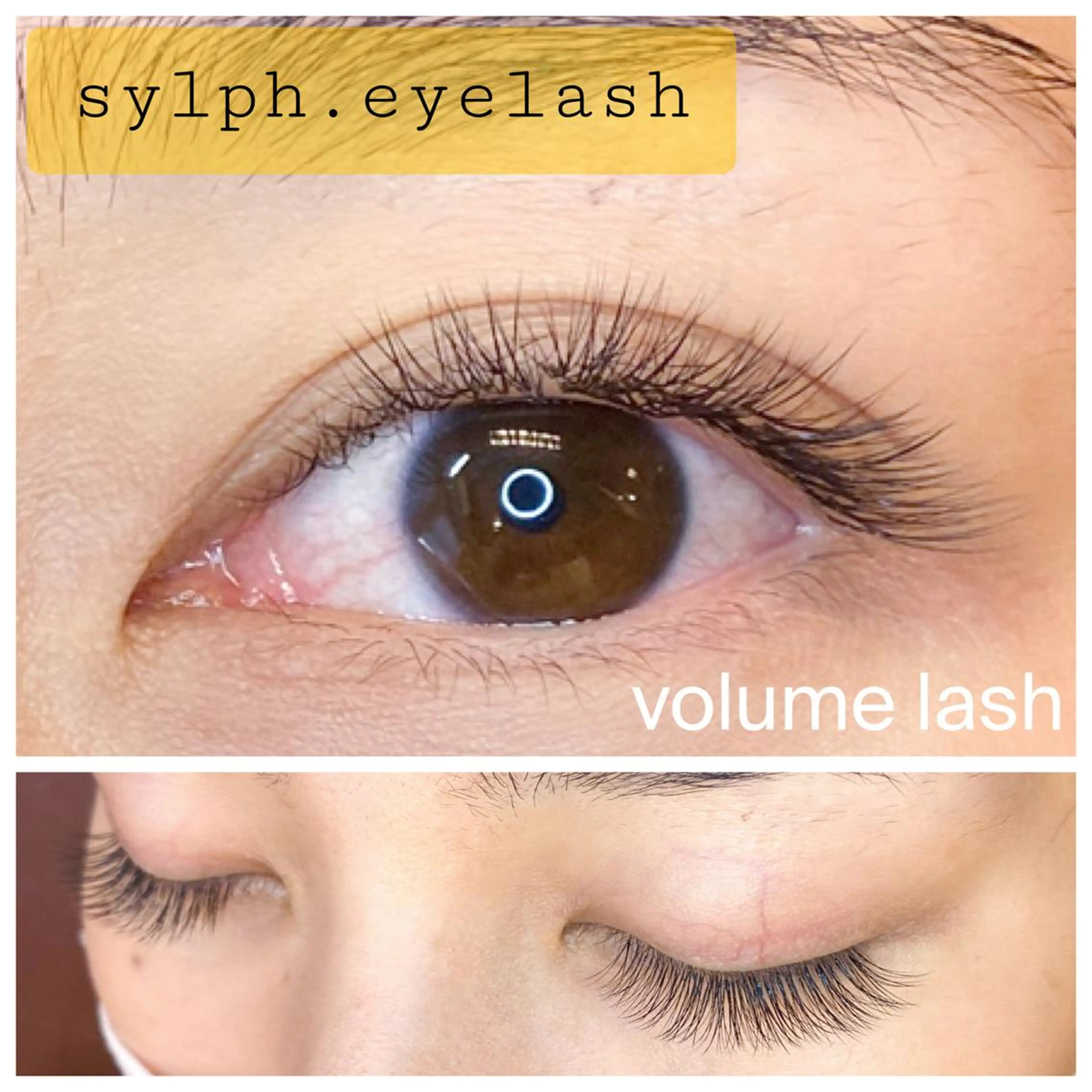 マツエク・マツパ ボリュームラッシュ まつげと眉の専門店　Sylph所属・西村 ちひろのマツエク・マツパデザイン