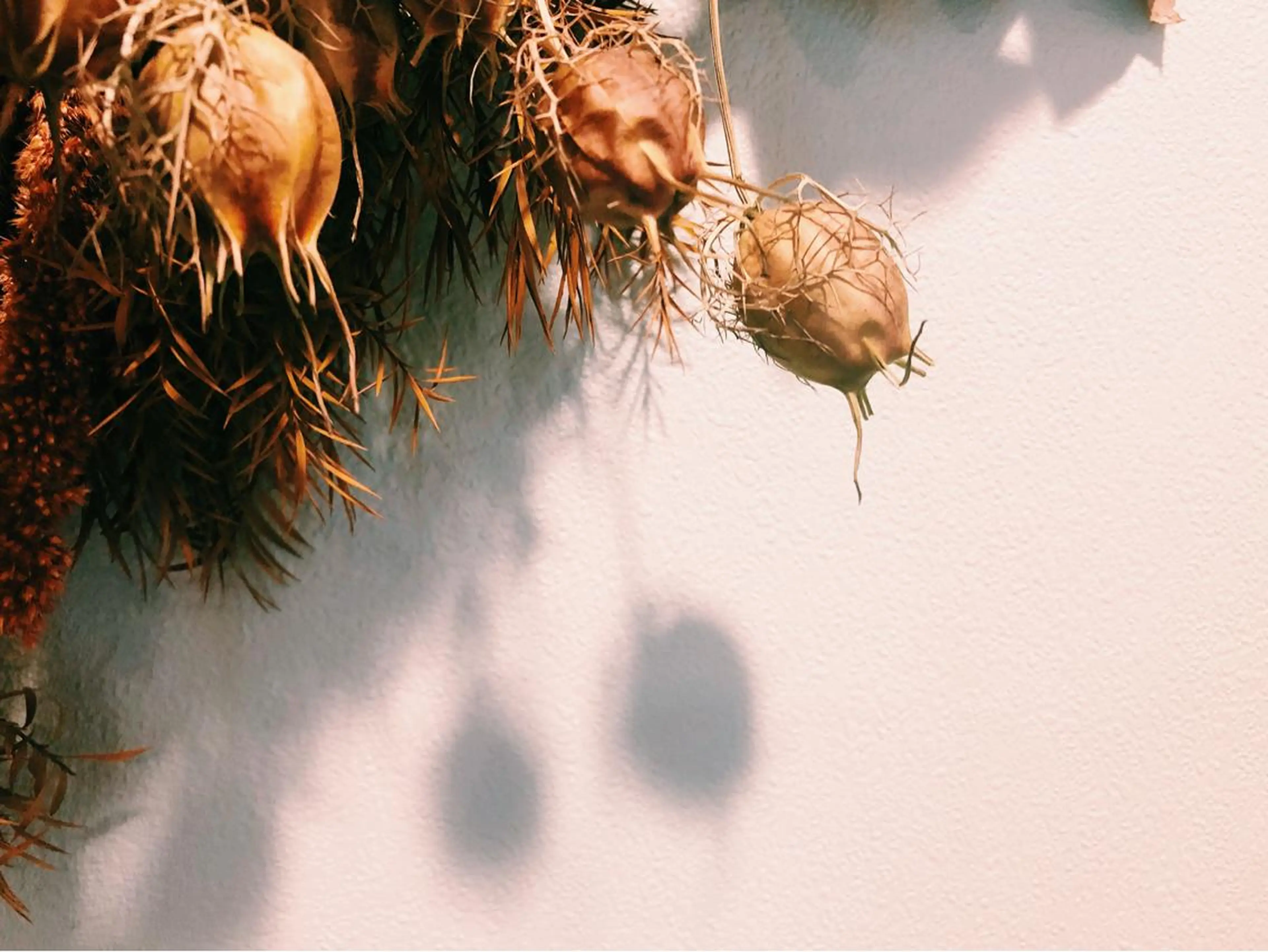 マツエク・マツパ マツエク UTA hair&eyelash所属・青木 百花のマツエク・マツパデザイン