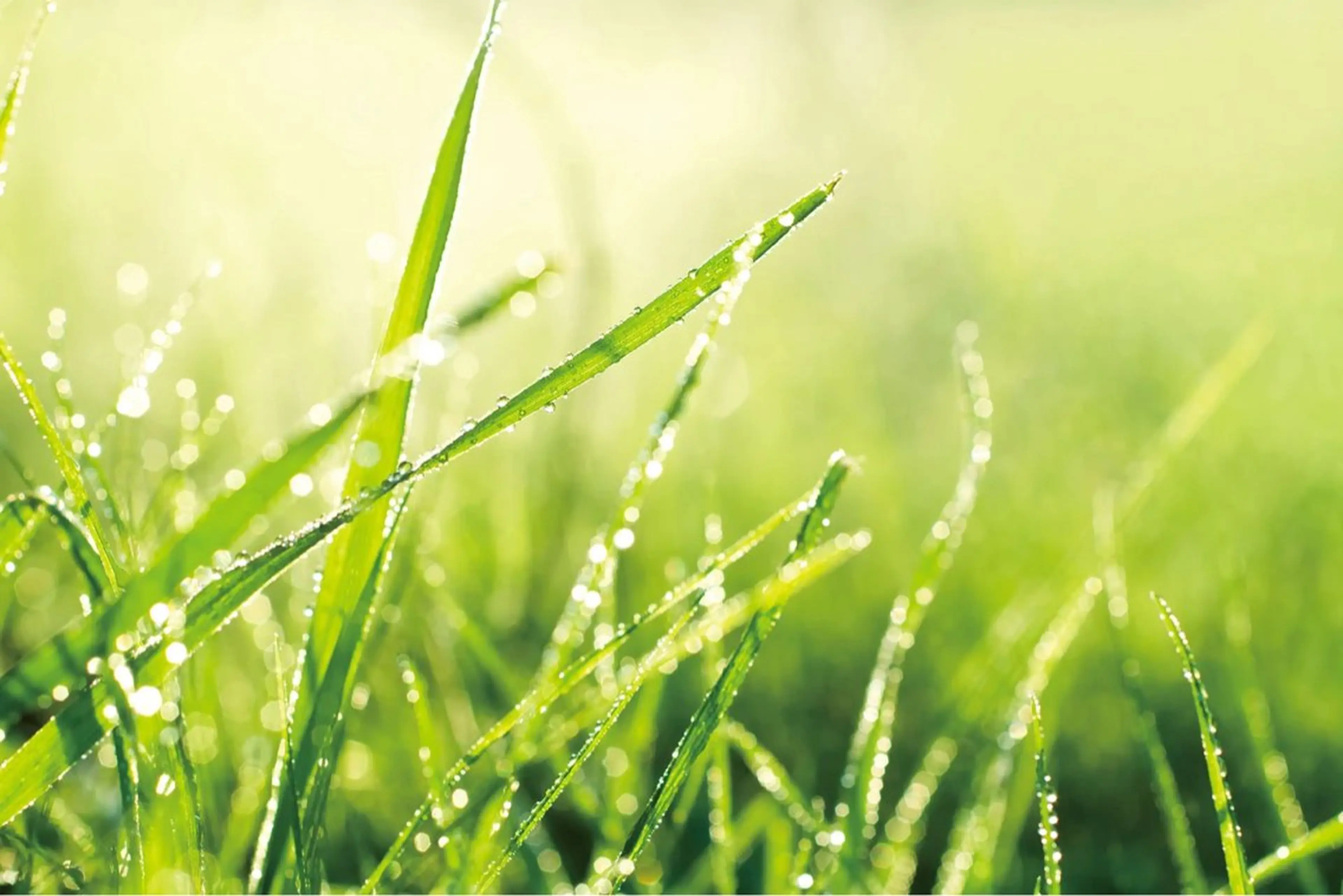 POLA クリスタルLavie所属・POLA クリスタル Lavie 原のエステ・リラクイメージ