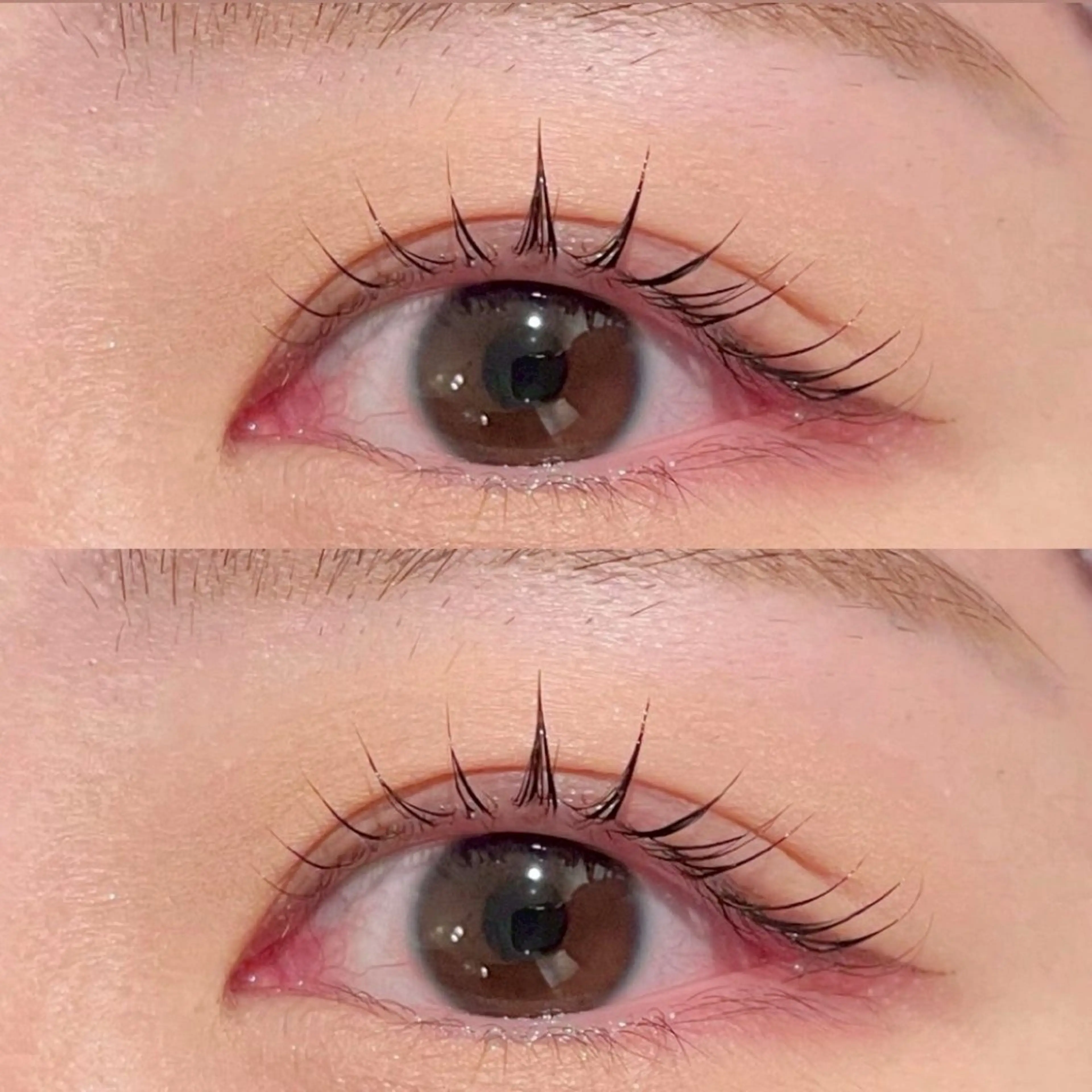 マツエク・マツパ まつげパーマ 🤍Reborn _hikari🤍の眉毛・アイブロウイメージ