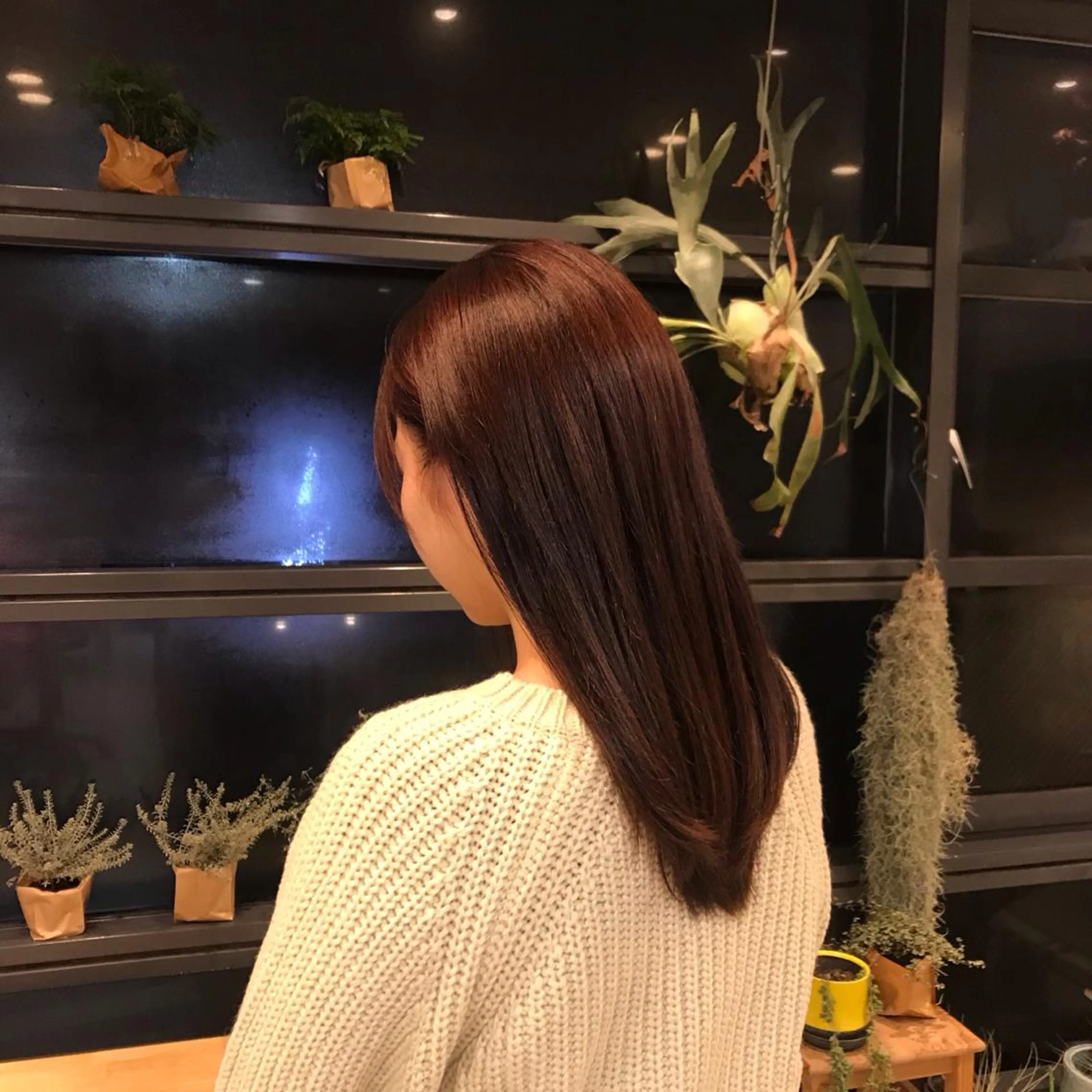 セミロング 菅原 彩加のヘアスタイル