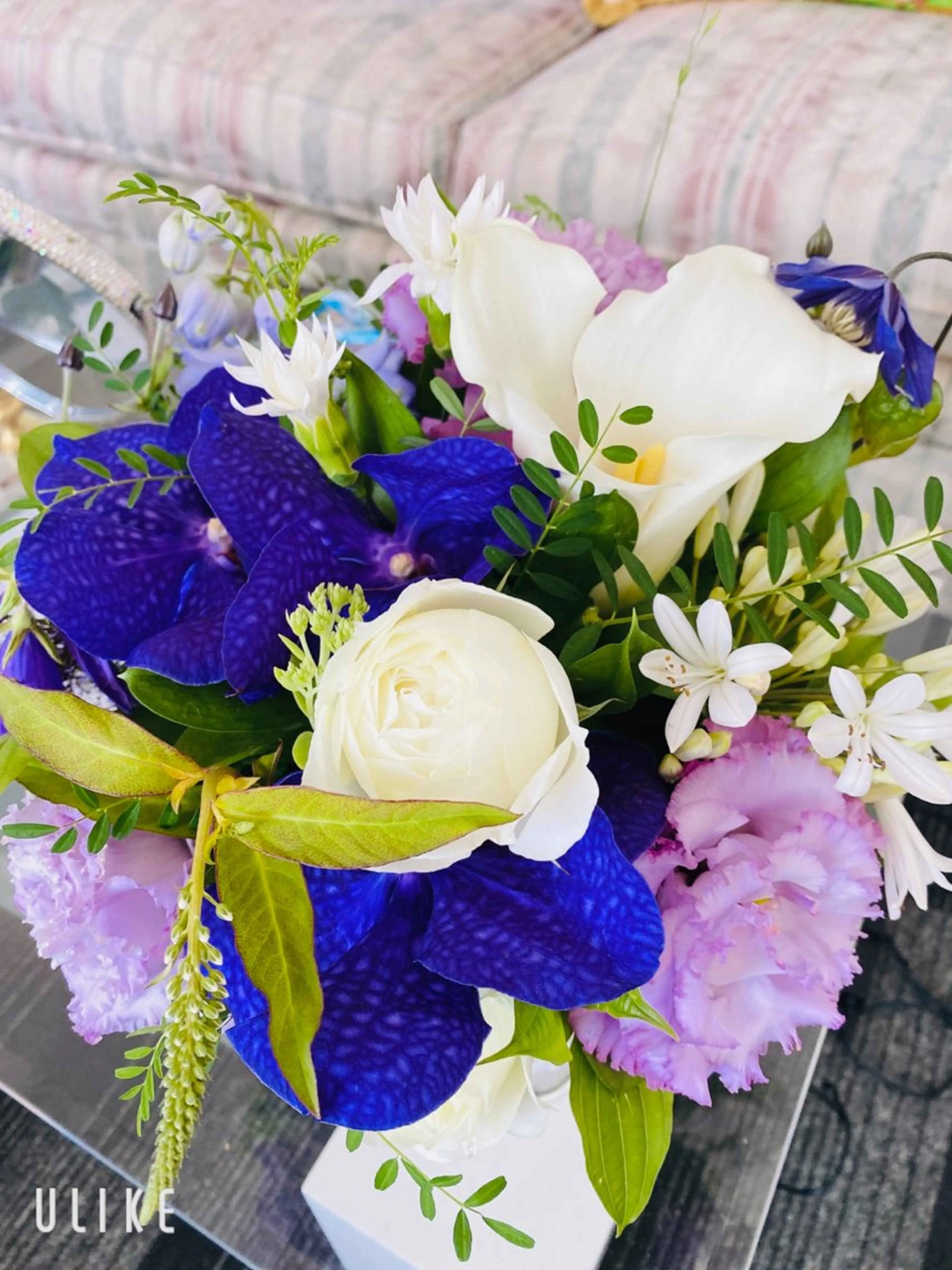 マツエク・マツパ 神山 ビューティー・アイのマツエク・マツパデザイン