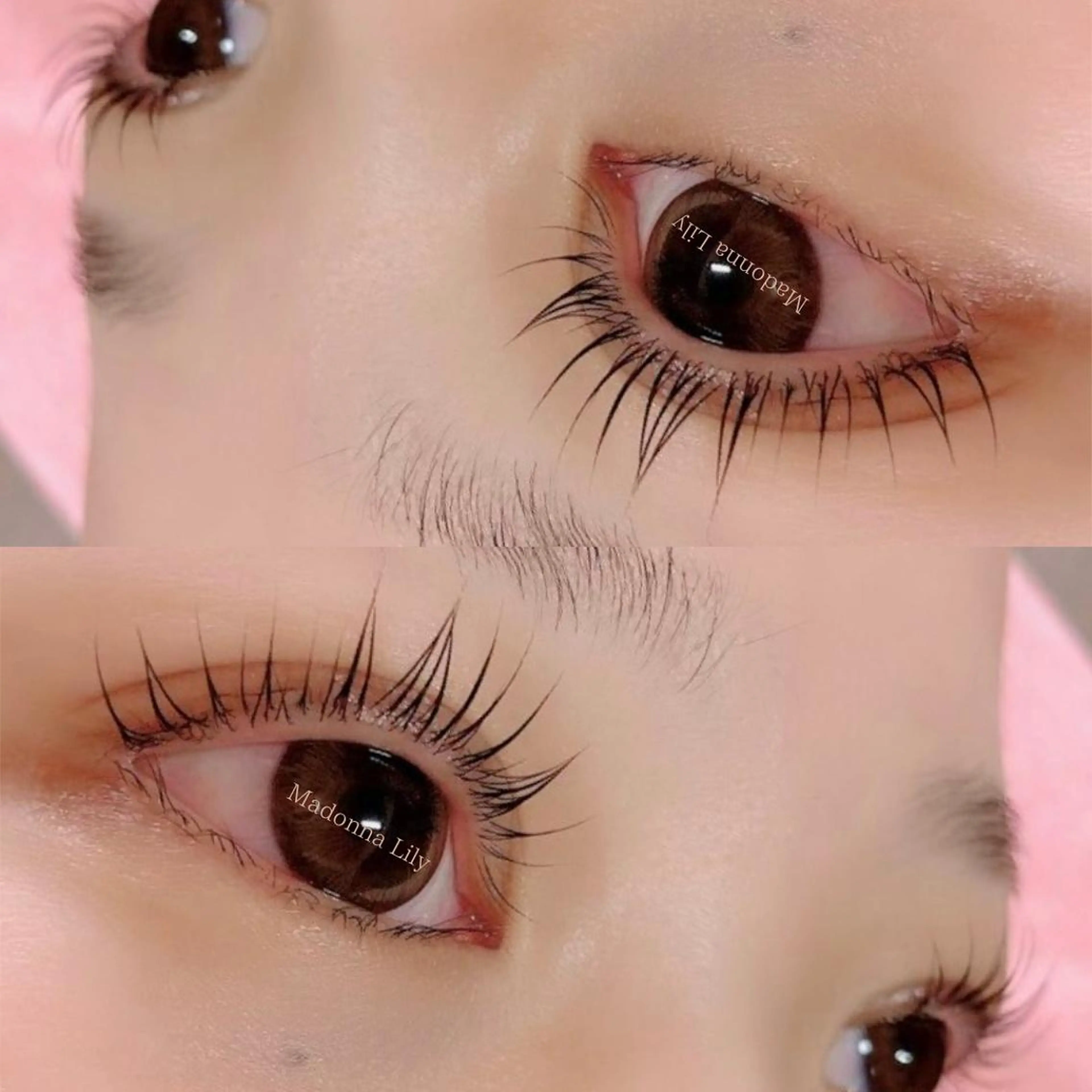 マツエク・マツパ Madonna Lilyのマツエク・マツパデザイン