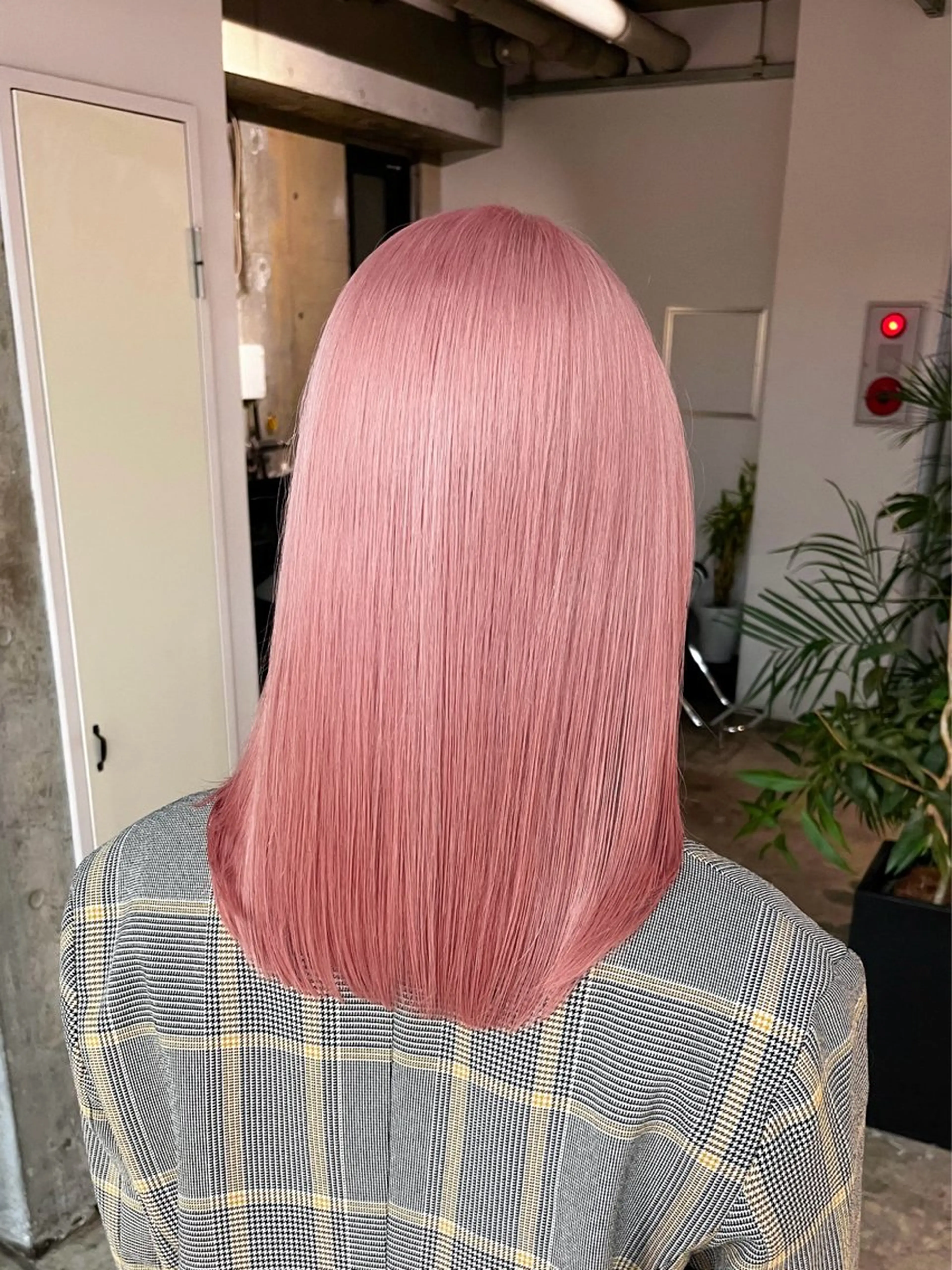 カラー ヘアカラー ウルフとデザイン カラーの神のヘアスタイル