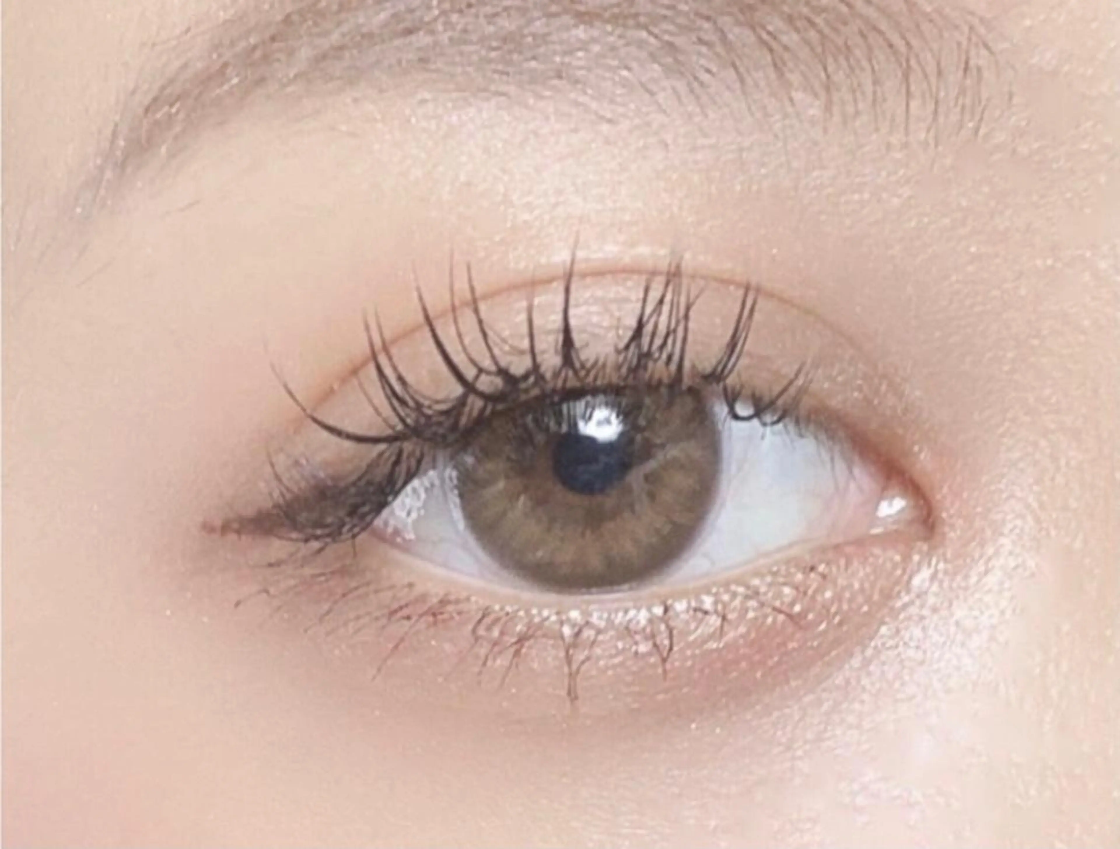 🤍まつエク140本or 160本👀🤍⚠️本数によってお値段変わるので備考ご覧ください⚠️の写真