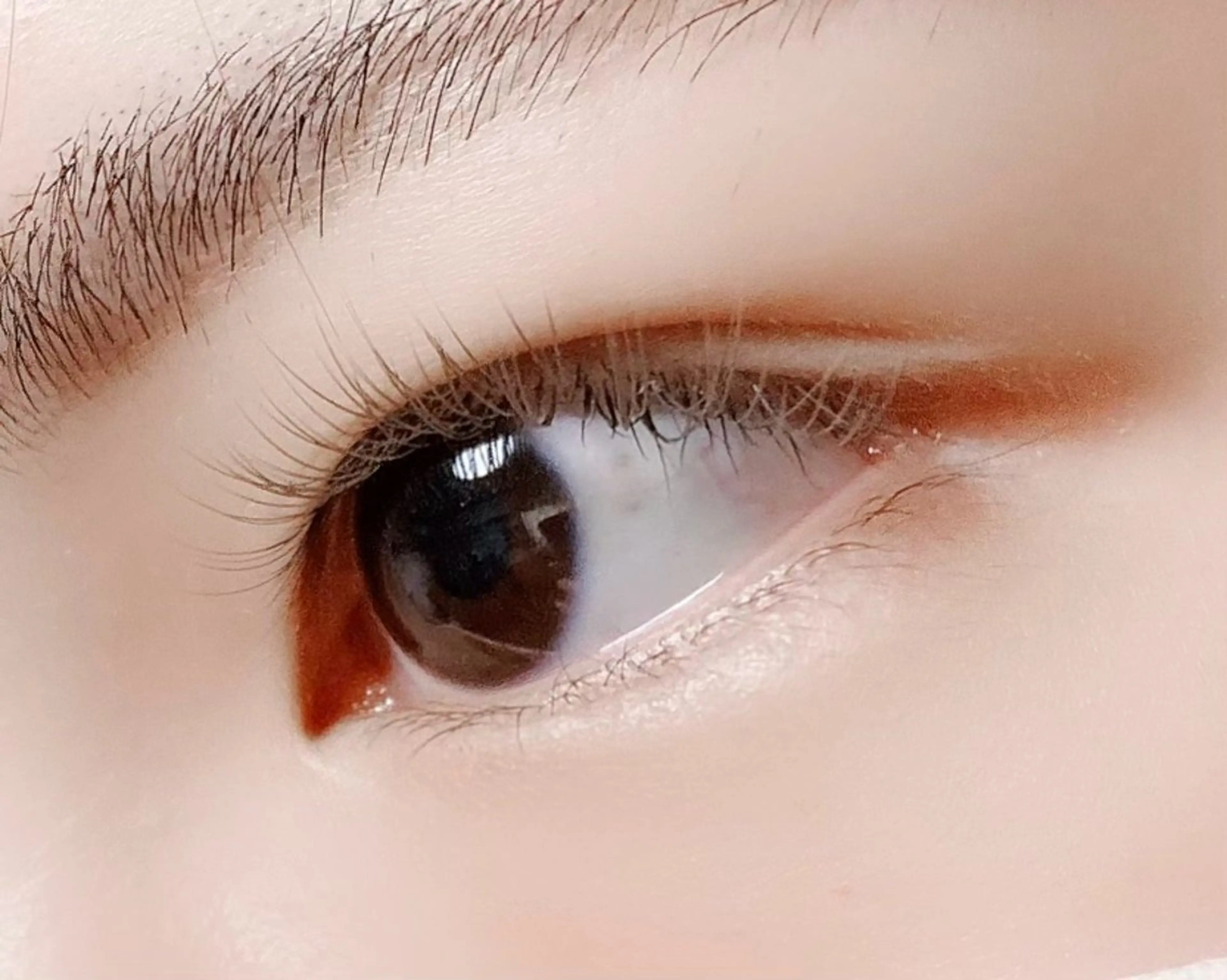 マツエク・マツパ Hase　本八幡 🧸マツエク専門🧸のマツエク・マツパデザイン