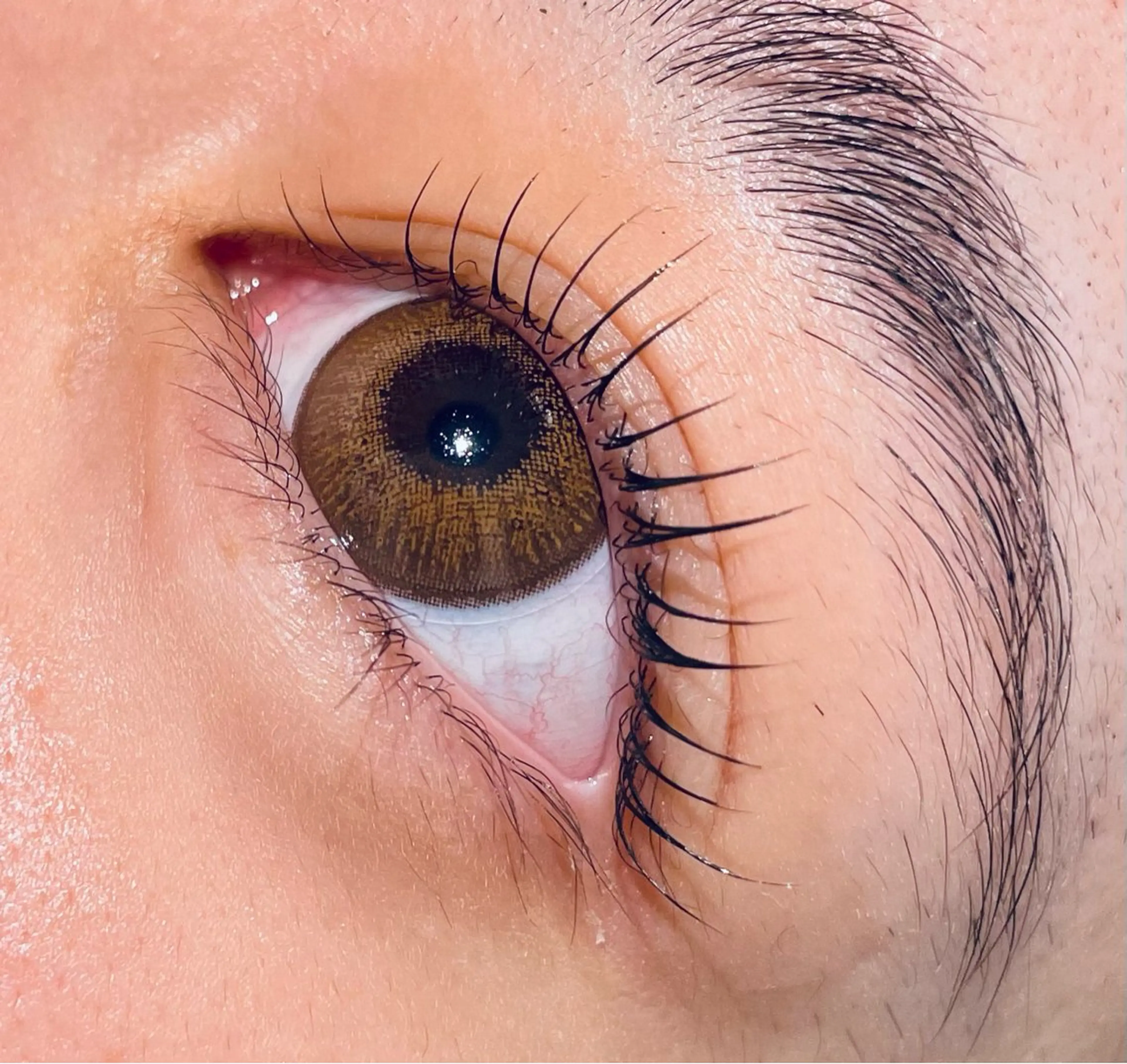 マツエク・マツパ eye salon &me.🎄⋆˙⟡のマツエク・マツパデザイン