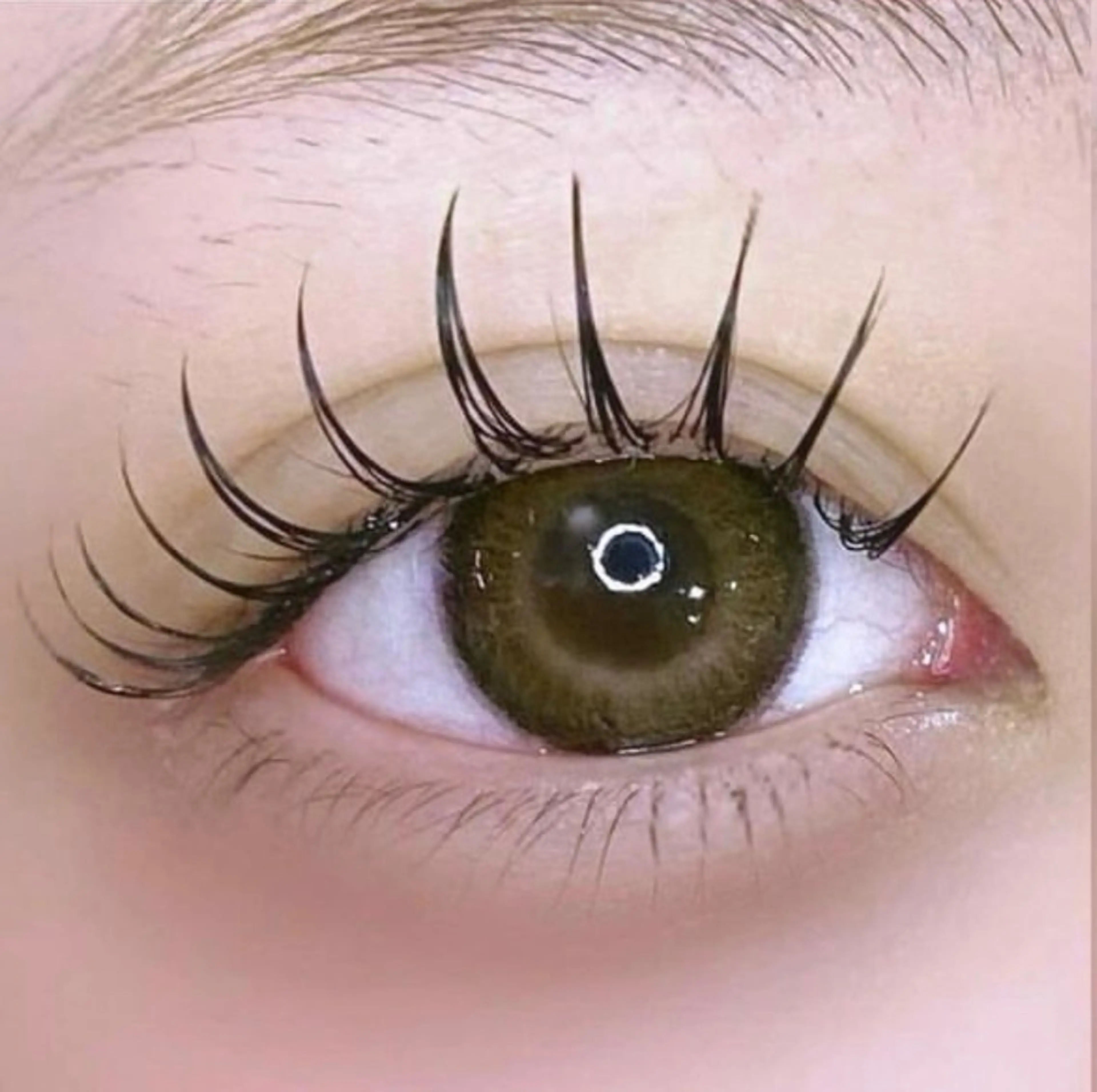 マツエク・マツパ フラットラッシュ ［無料🩵］Lila 吉見のマツエク・マツパデザイン