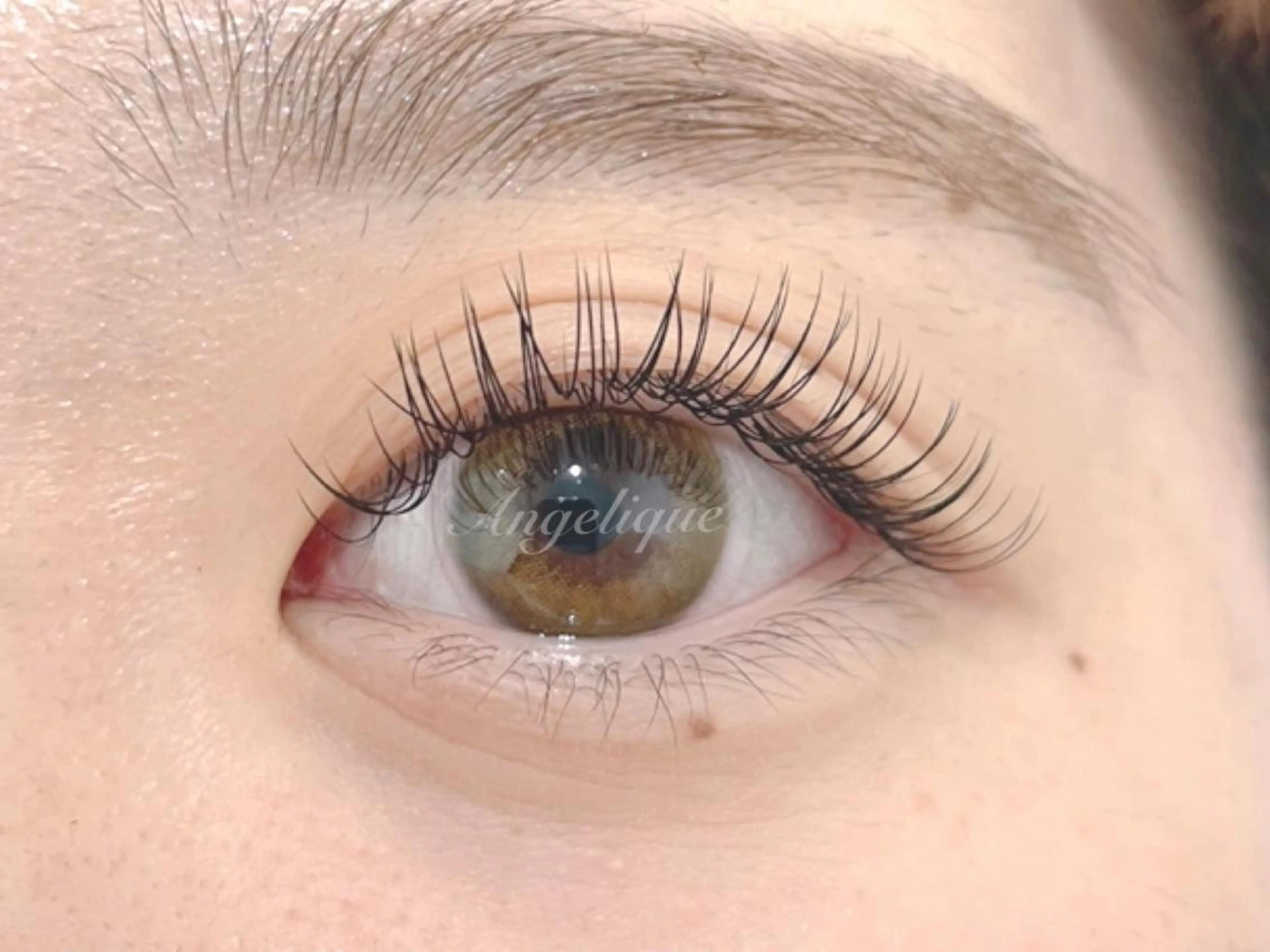 【Premium Set🏳️‍⚧️】ラッシュリフトカール🌼最高級セーブル120本🌷の写真