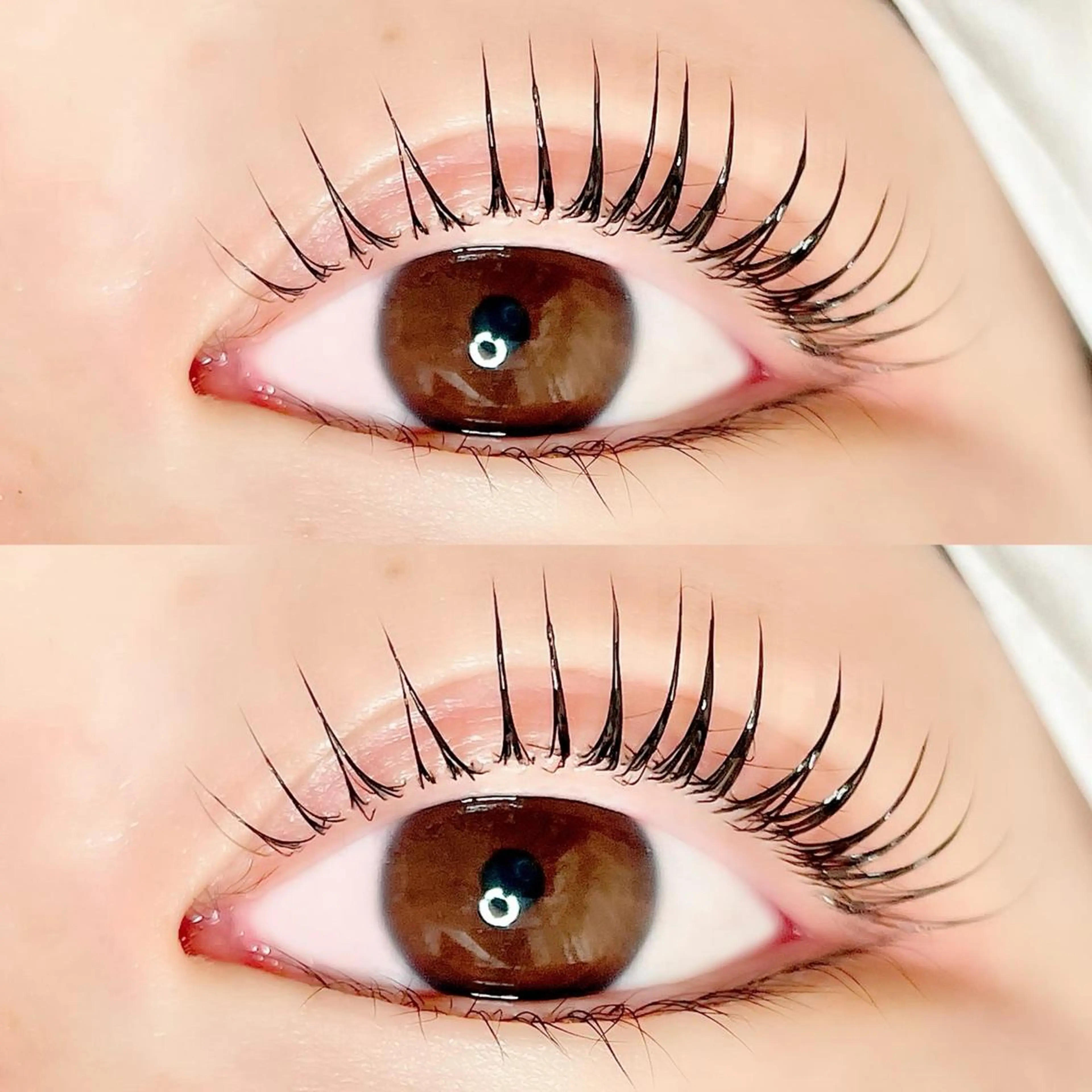 マツエク・マツパ マツパ AYLASH🧡 猪又のマツエク・マツパデザイン