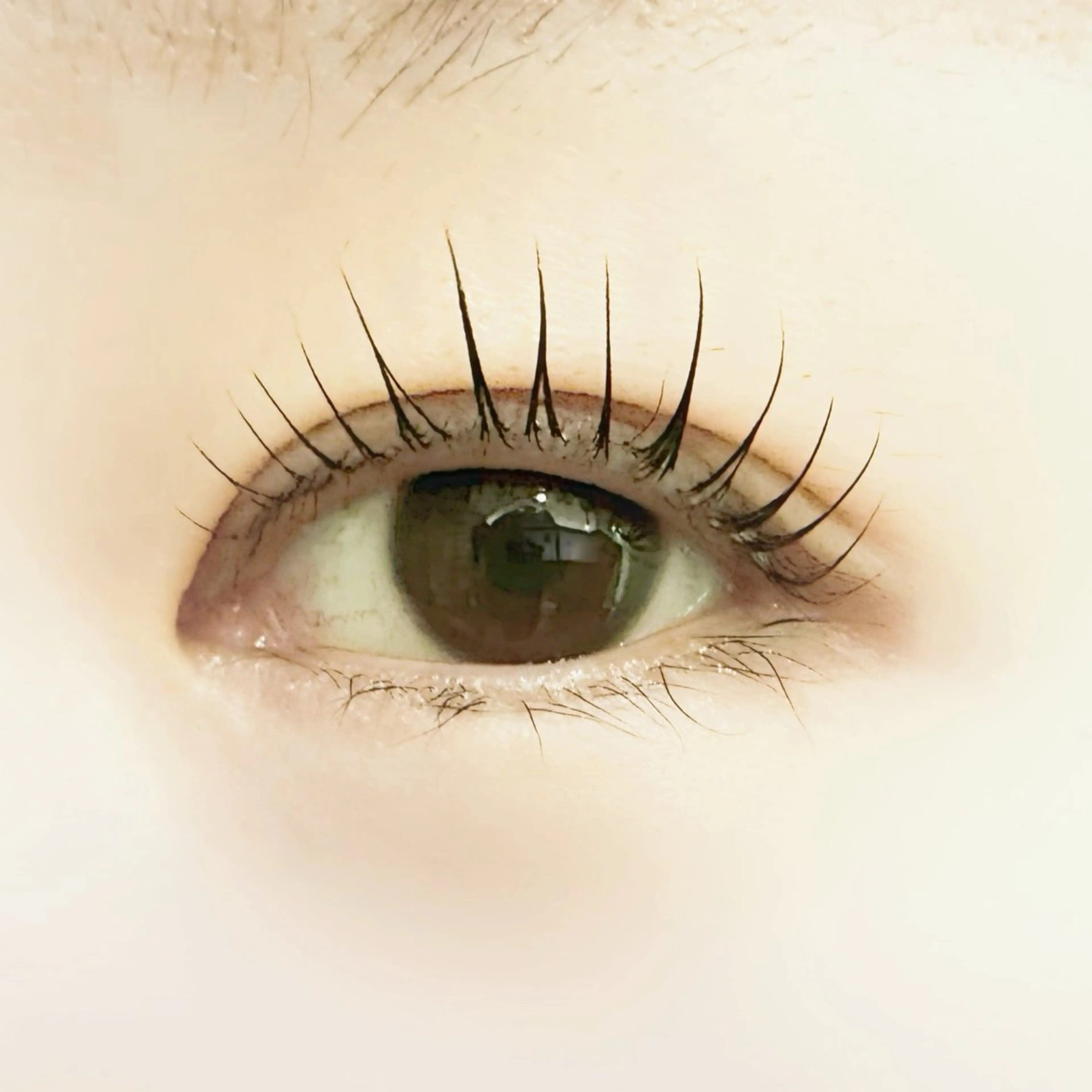 マツエク・マツパ VISIONQUEST所属・✿ chika ♡のマツエク・マツパデザイン