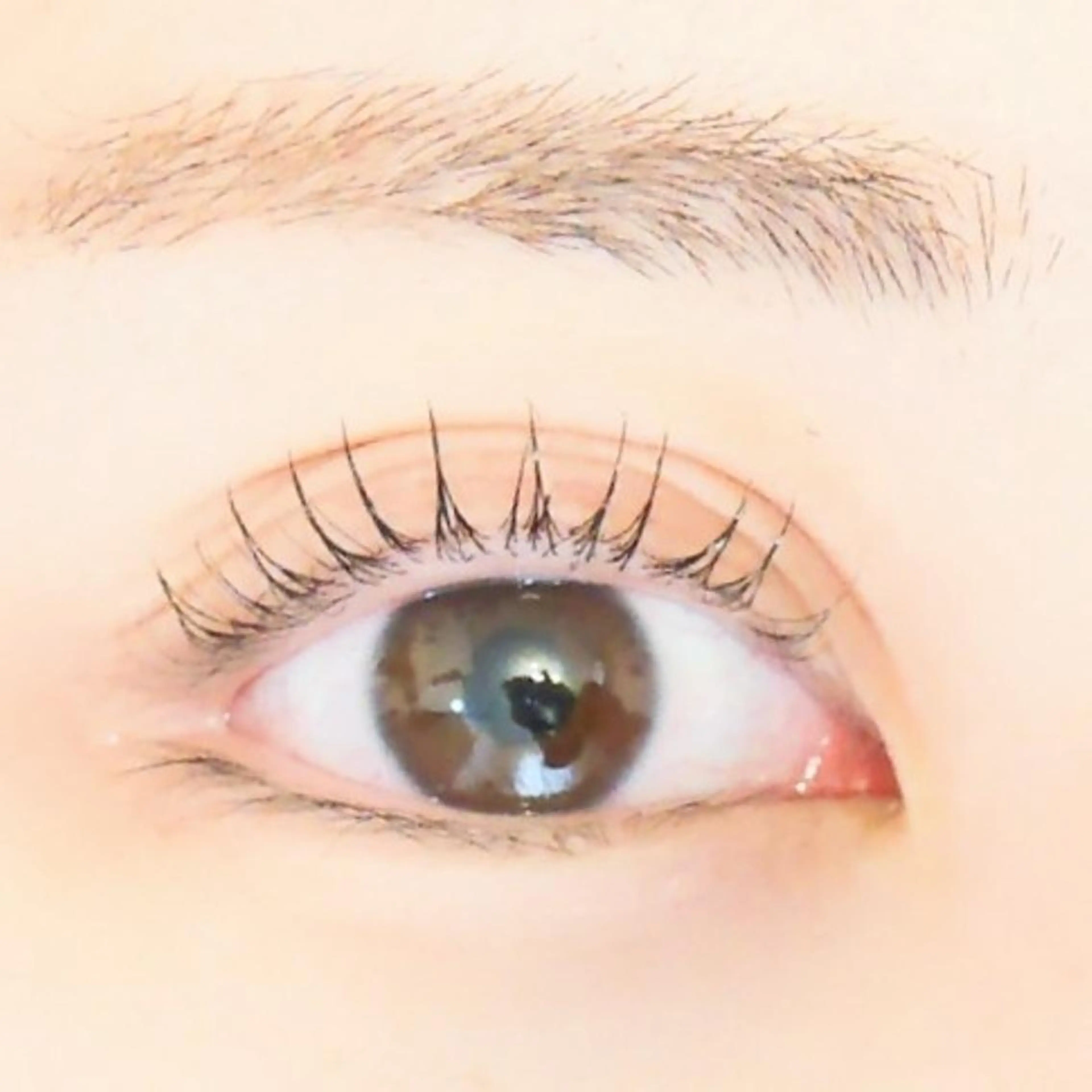 マツエク・マツパ 束感まつ毛 カラーマツエク フラットラッシュ 下まつげエクステ 一重×まつ毛パーマ BLAO: Kawakitaのマツエク・マツパデザイン