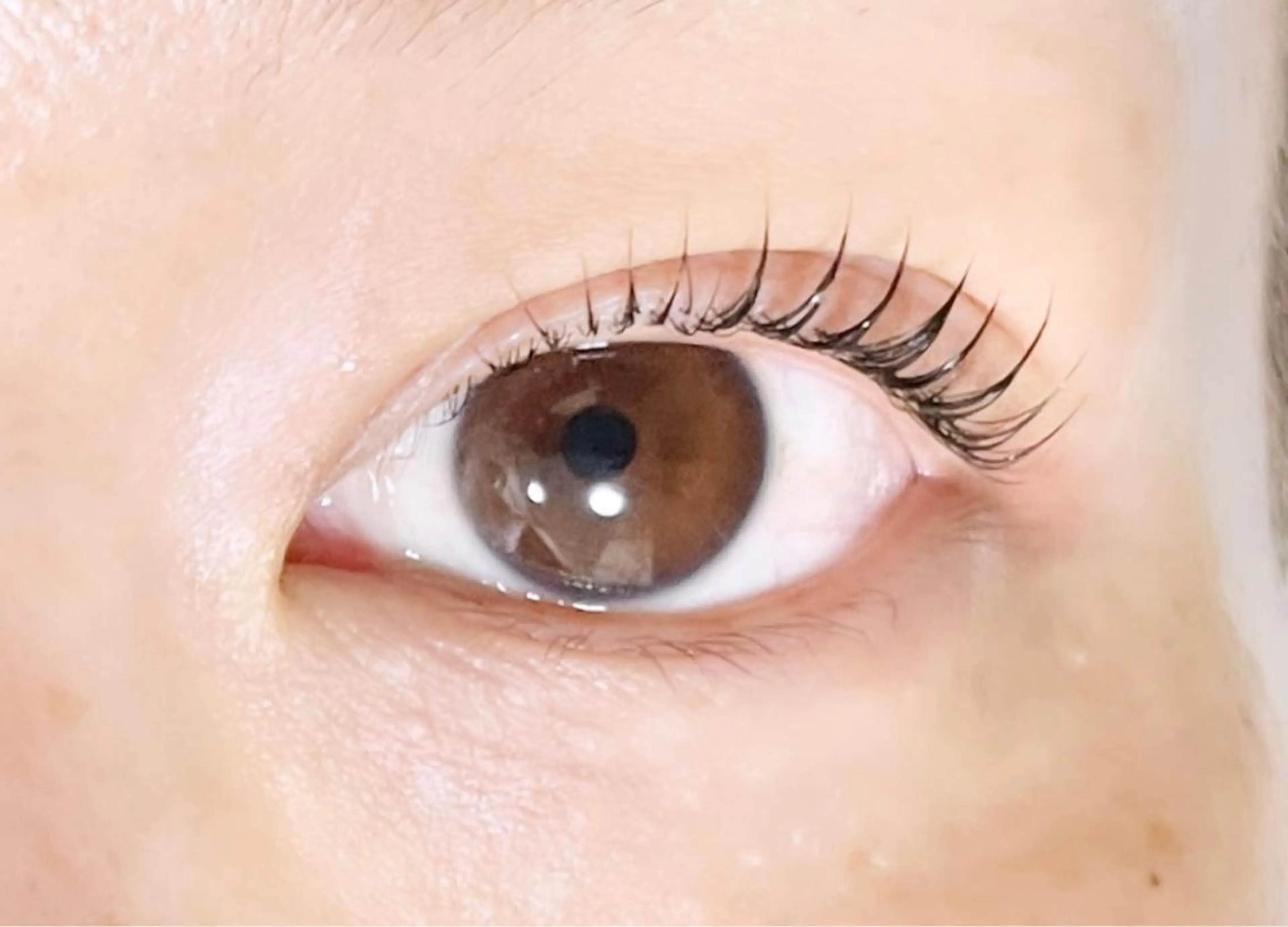 マツエク・マツパ パリジェンヌラッシュリフト TAKEO🖤 マリーテレジア藤が丘のマツエク・マツパデザイン