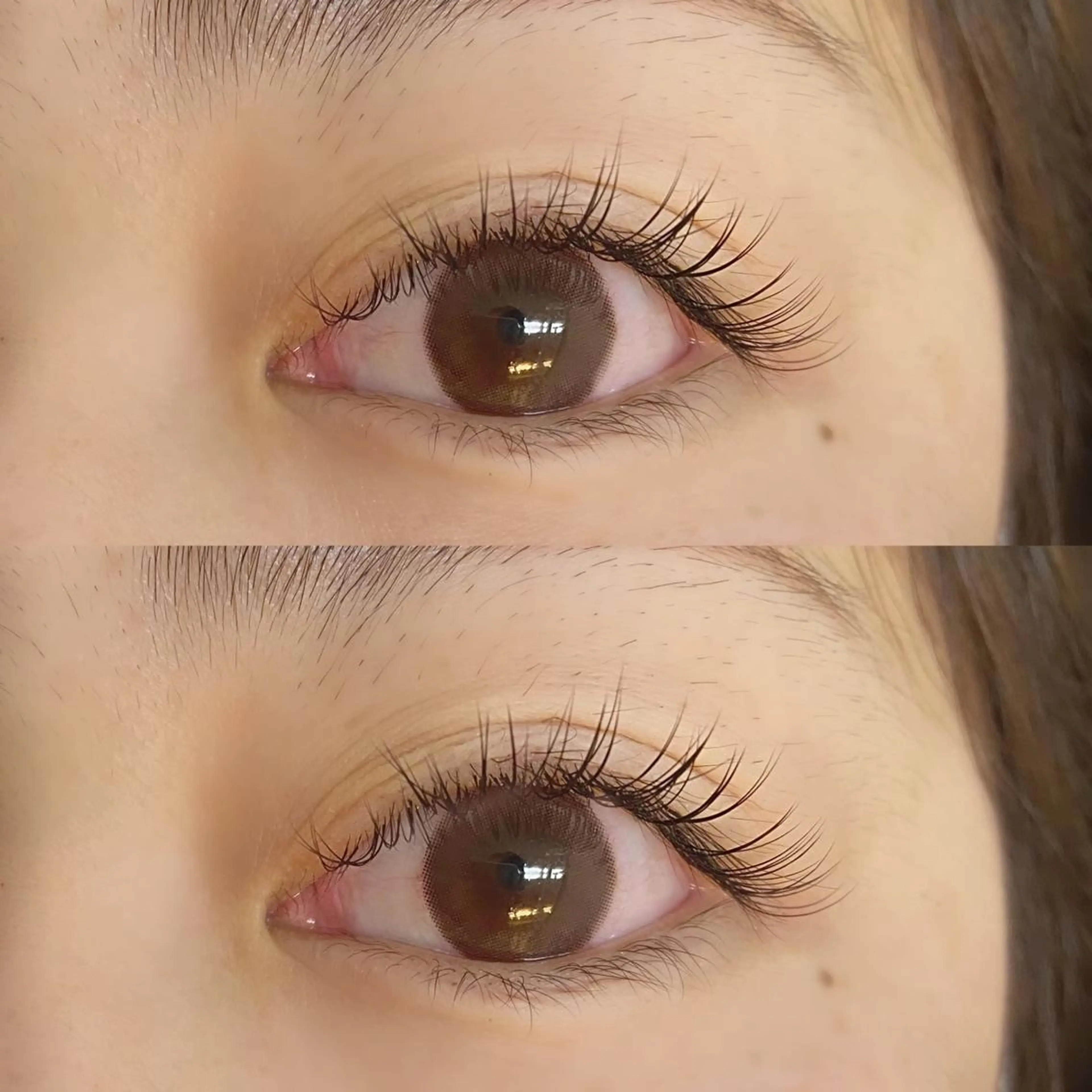 マツエク・マツパ セーブル signpost 🕊️小林のマツエク・マツパデザイン