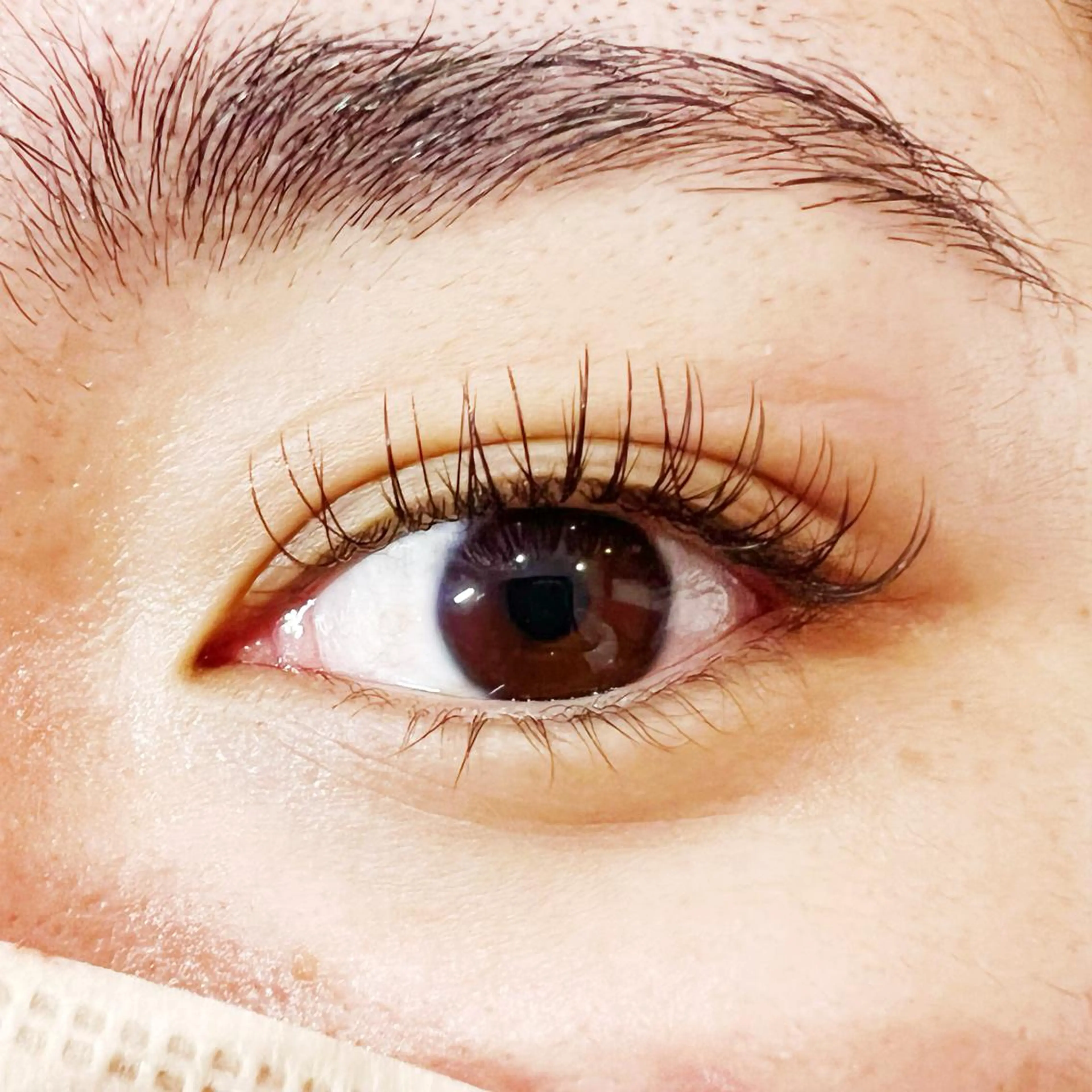 マツエク・マツパ セーブル Celeste Venus所属・🧸Celeste Venusのマツエク・マツパデザイン