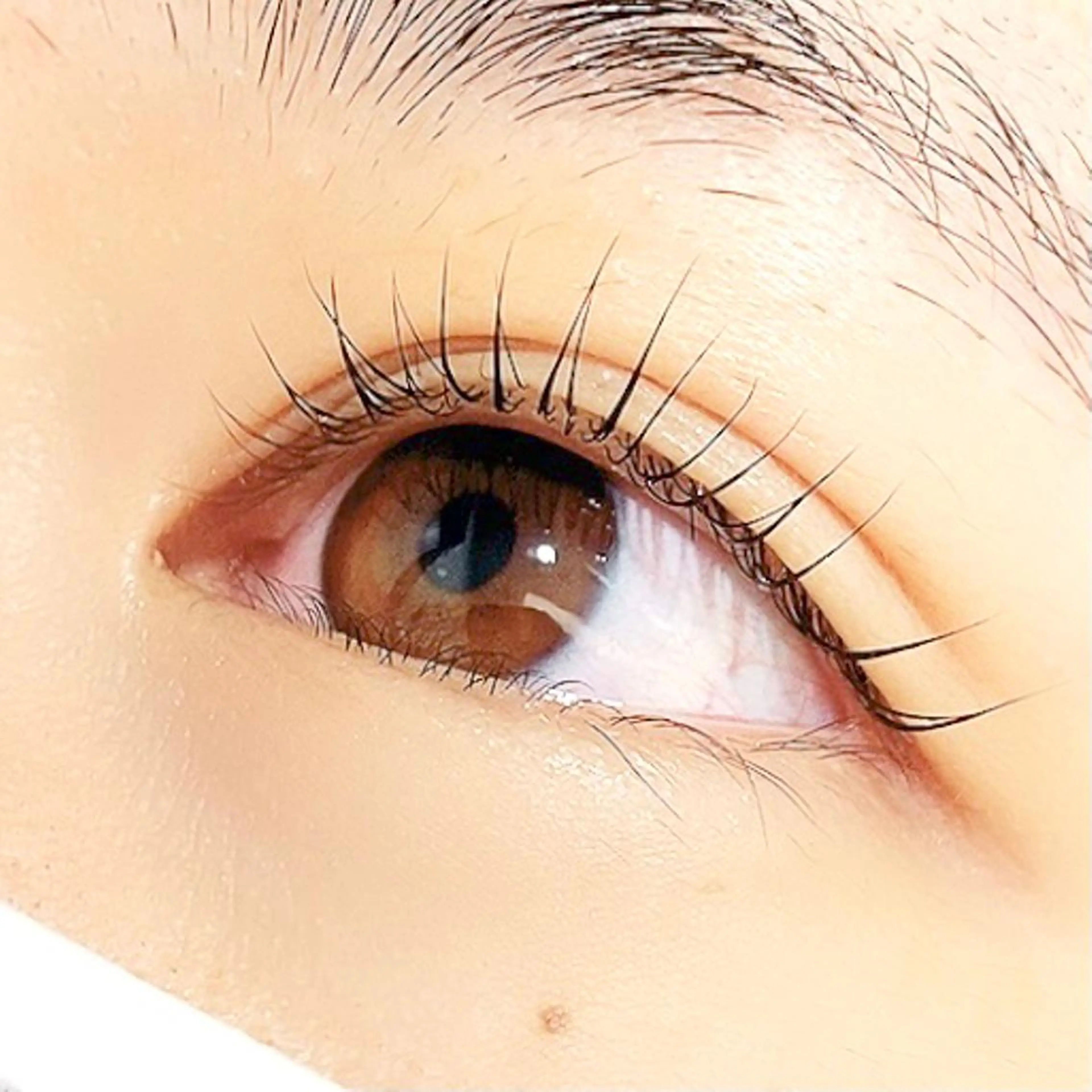 マツエク・マツパ パリジェンヌラッシュリフト ✧elpatio✧︎ 小出紗羅のマツエク・マツパデザイン