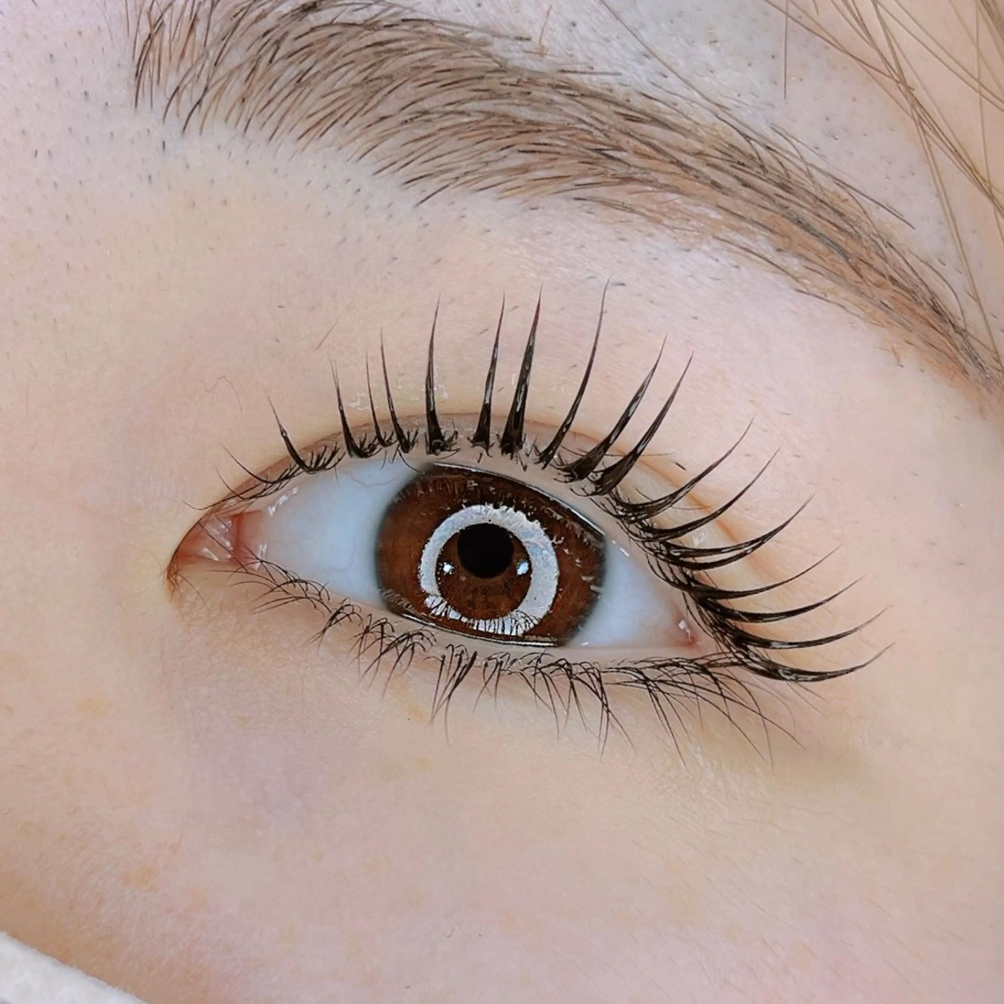 《ミニモ限定》まつ毛が傷まずに、長持ちするケラチンまつげパーマ7800→5800の写真