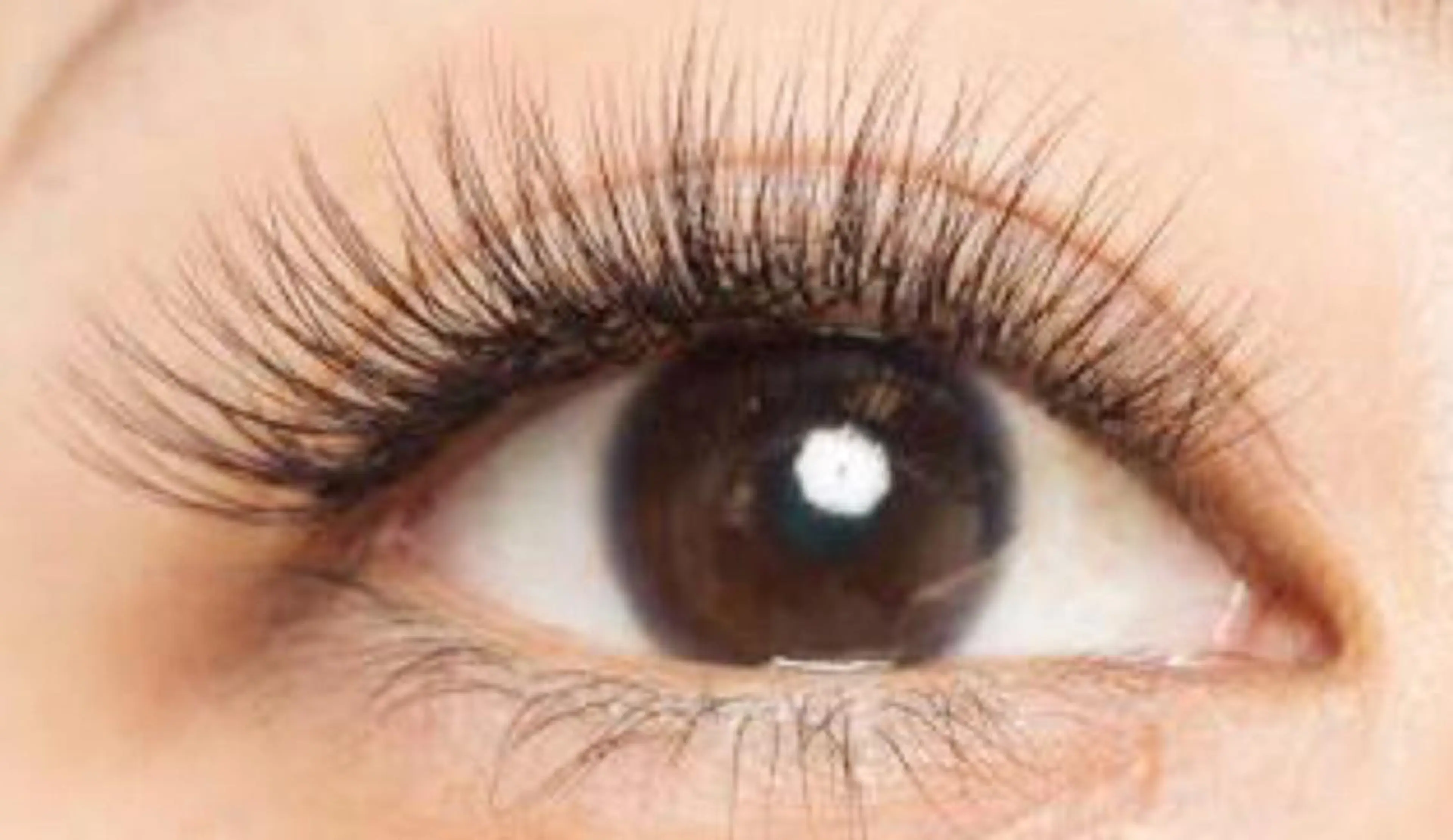 メンズ キッズ マツエク・マツパ マツエク さろんどふじた甲子園所属・江嵜 真由美　　　　甲子園のマツエク・マツパデザイン