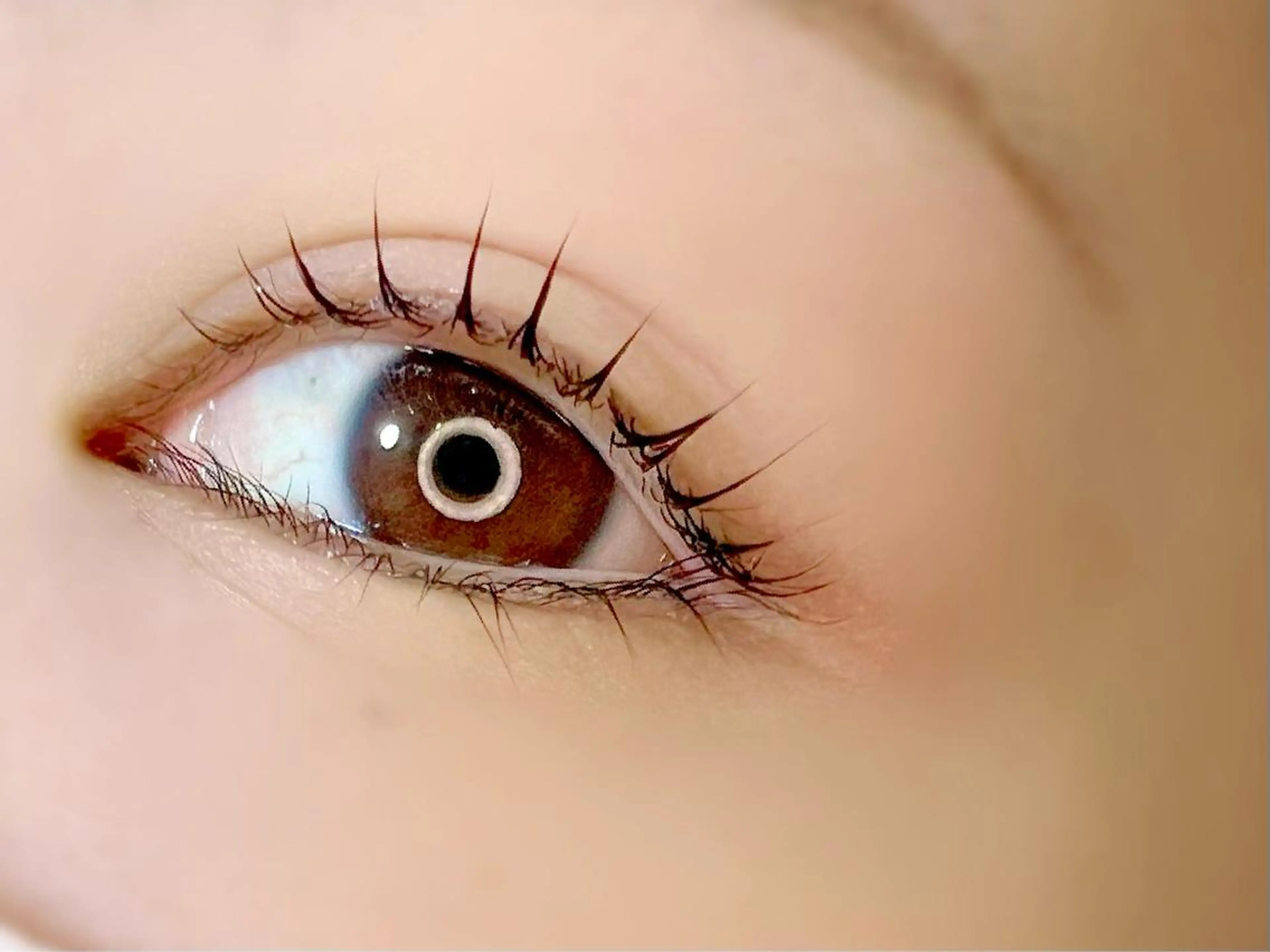 マツエク・マツパ パリジェンヌラッシュリフト 一重×まつ毛パーマ U2所属・U2 eyelash akikoの眉毛・アイブロウイメージ