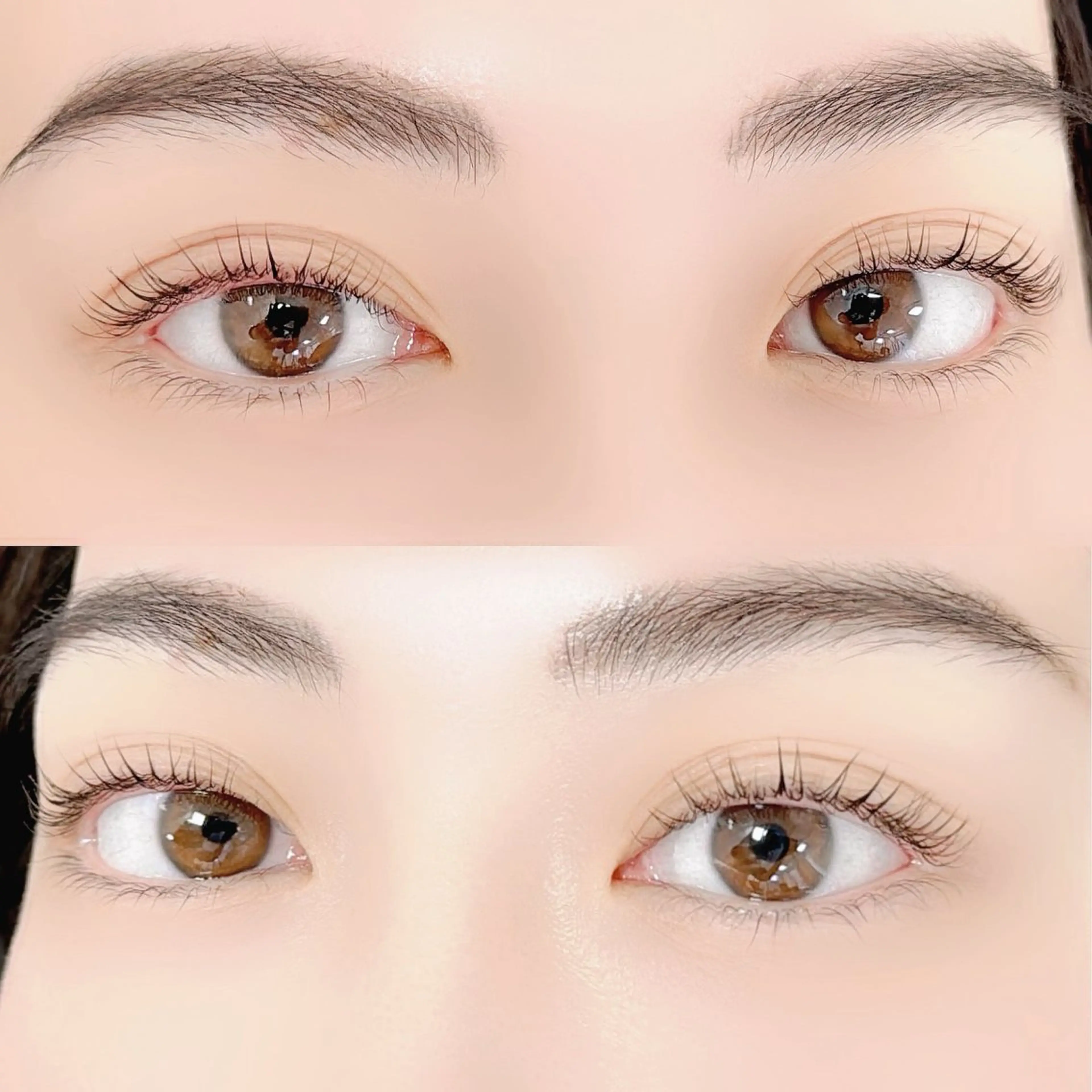 🩵パリジェンヌ上まつげ🩵【エクステが付いていない方限定】の写真