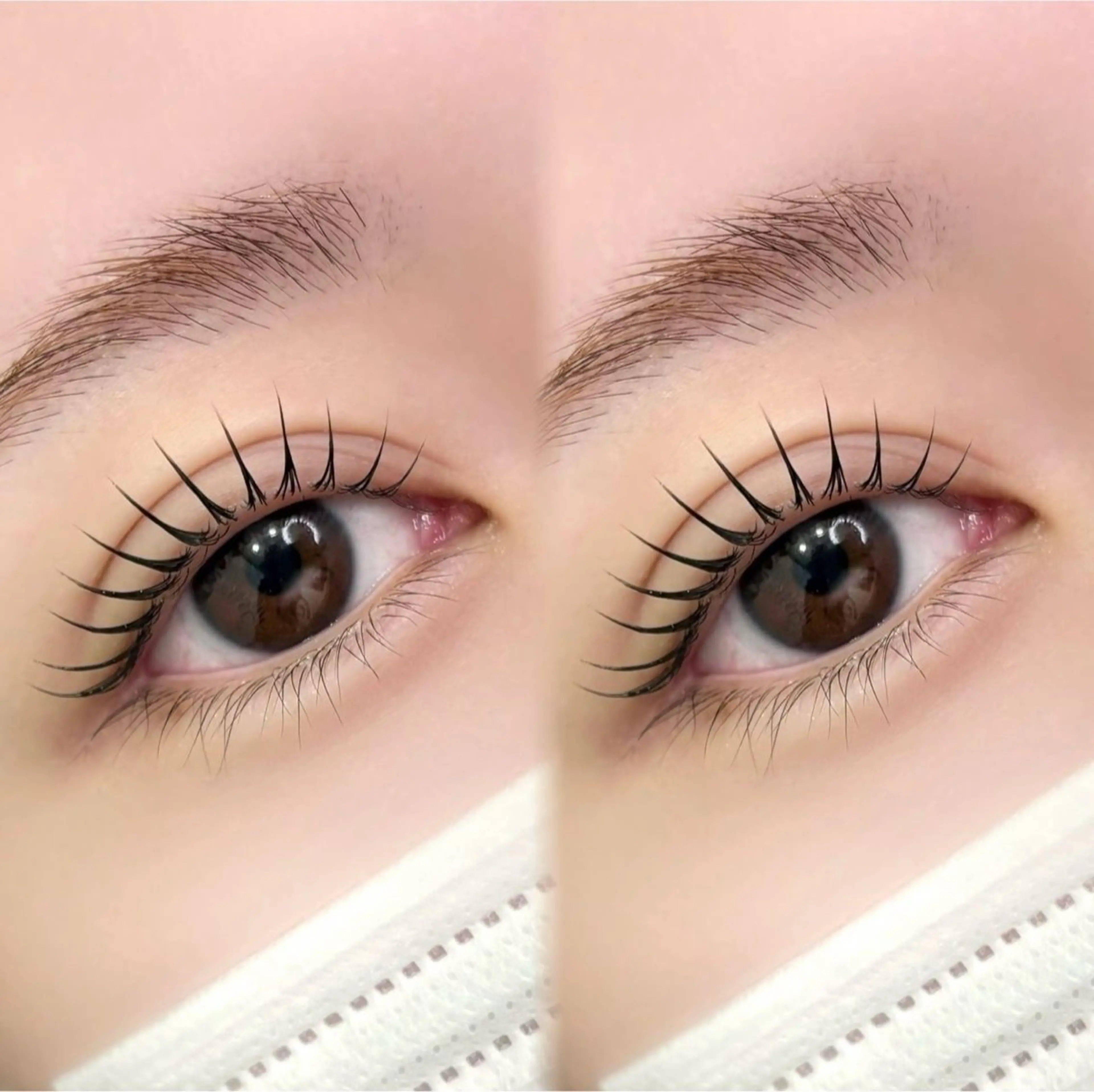 ❤️‍🔥ラッシュリフトまつげパーマ上　🎀高濃度美容液付　🌟17時以降・土日祝+300の写真