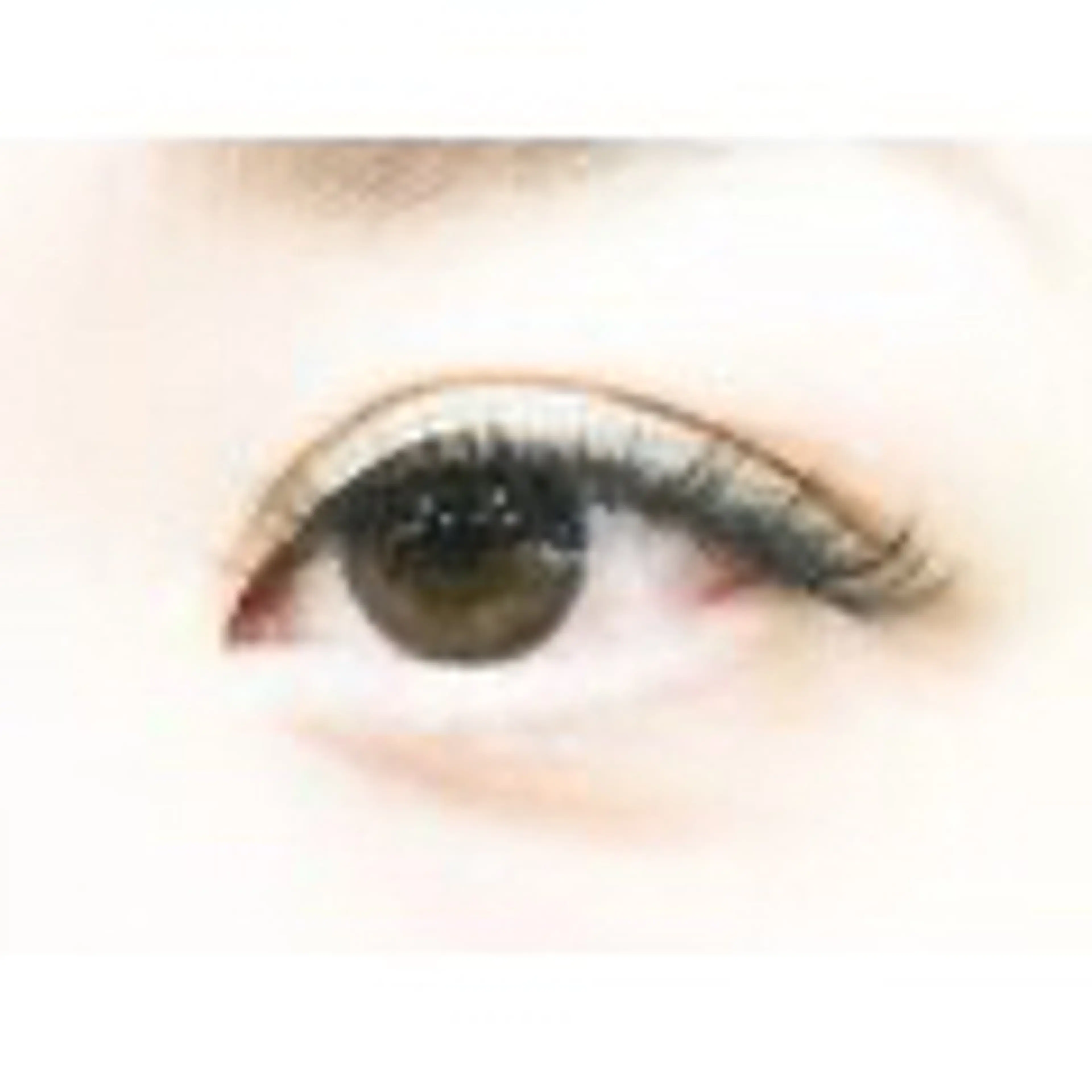 ボリュームラッシュ100束の写真