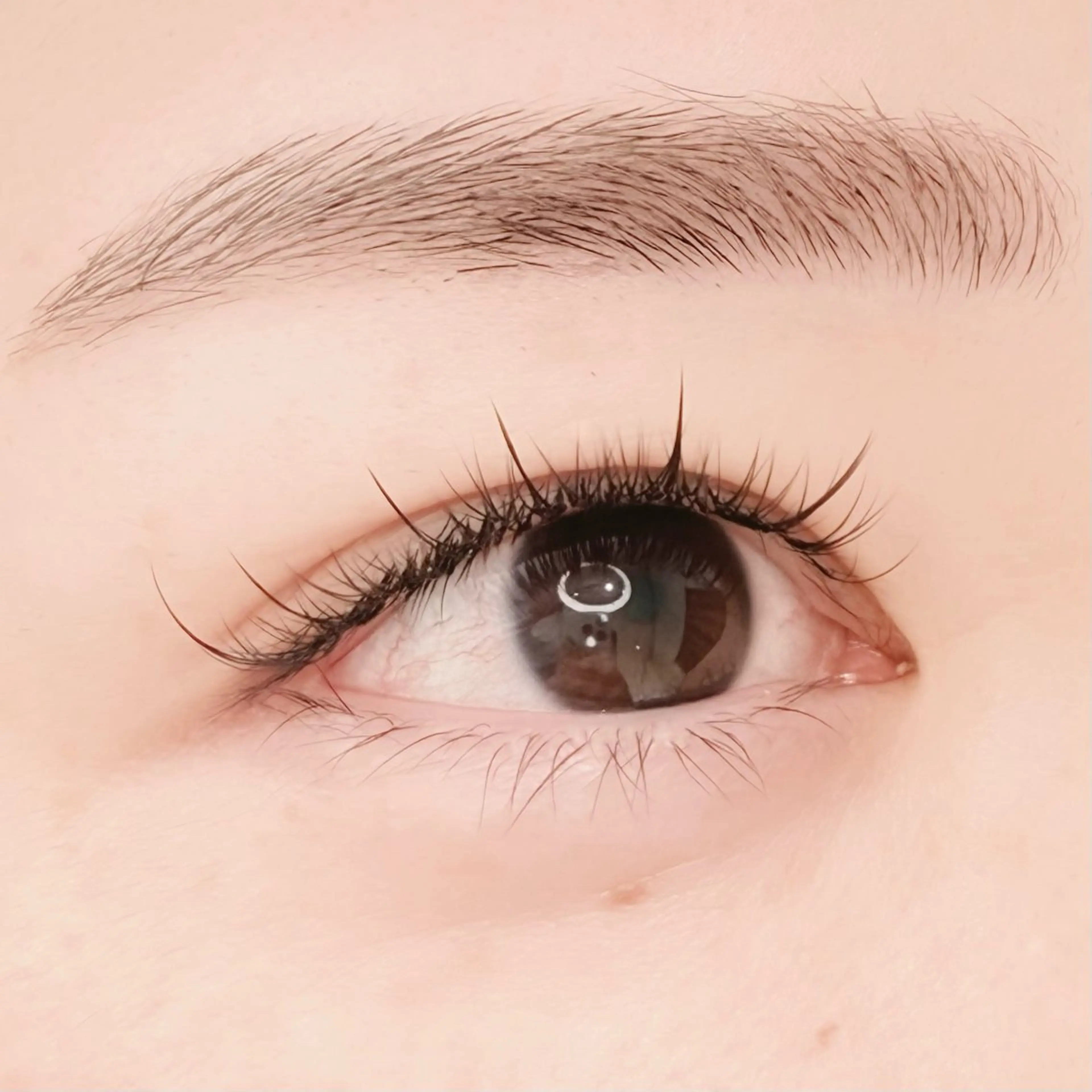 マツエク・マツパ マツエク PROGRESS 龍ヶ崎 小泉🦋のマツエク・マツパデザイン