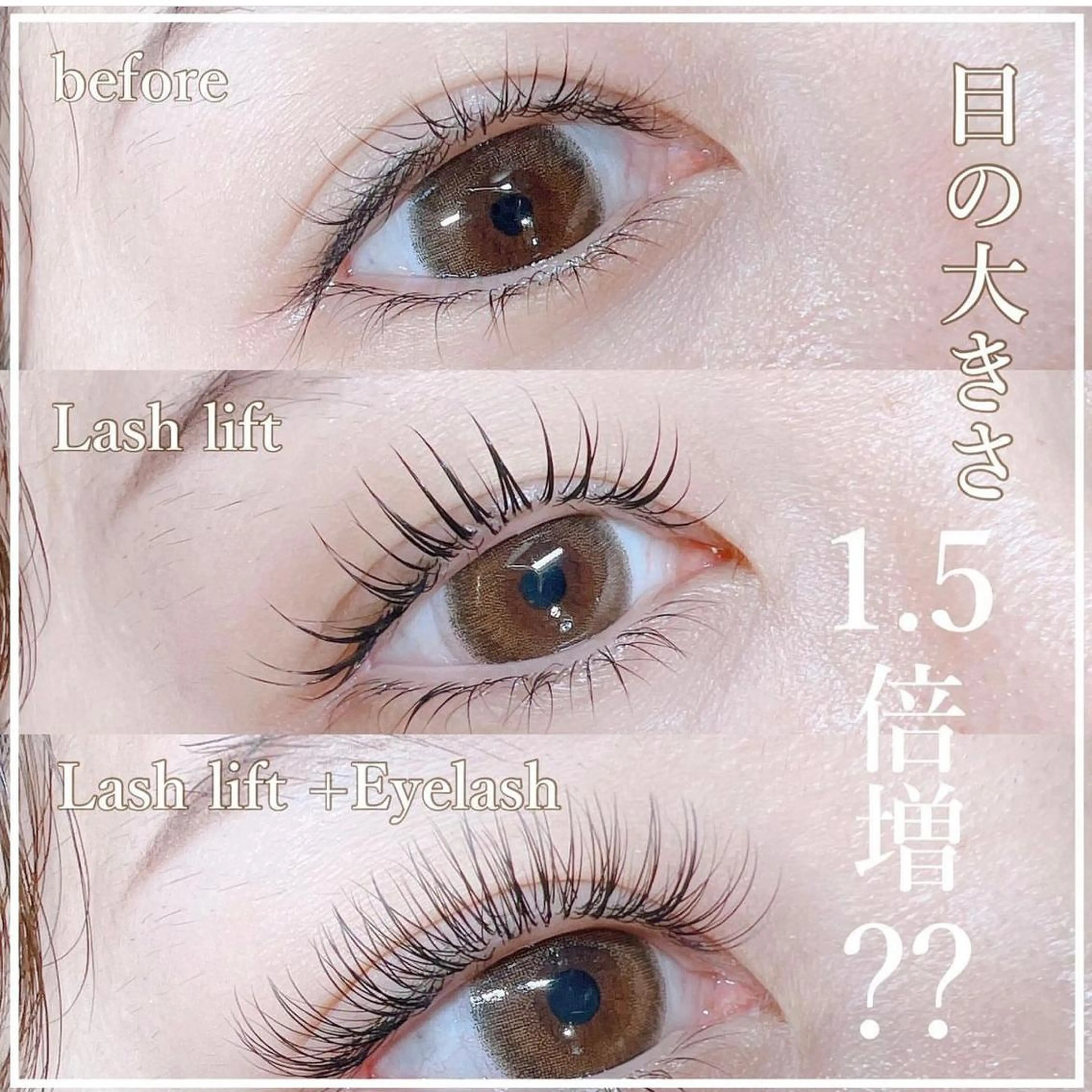 当日限定💐パリエク（上パリジェンヌ+フラットラッシュ60​〜​80本）💐の写真