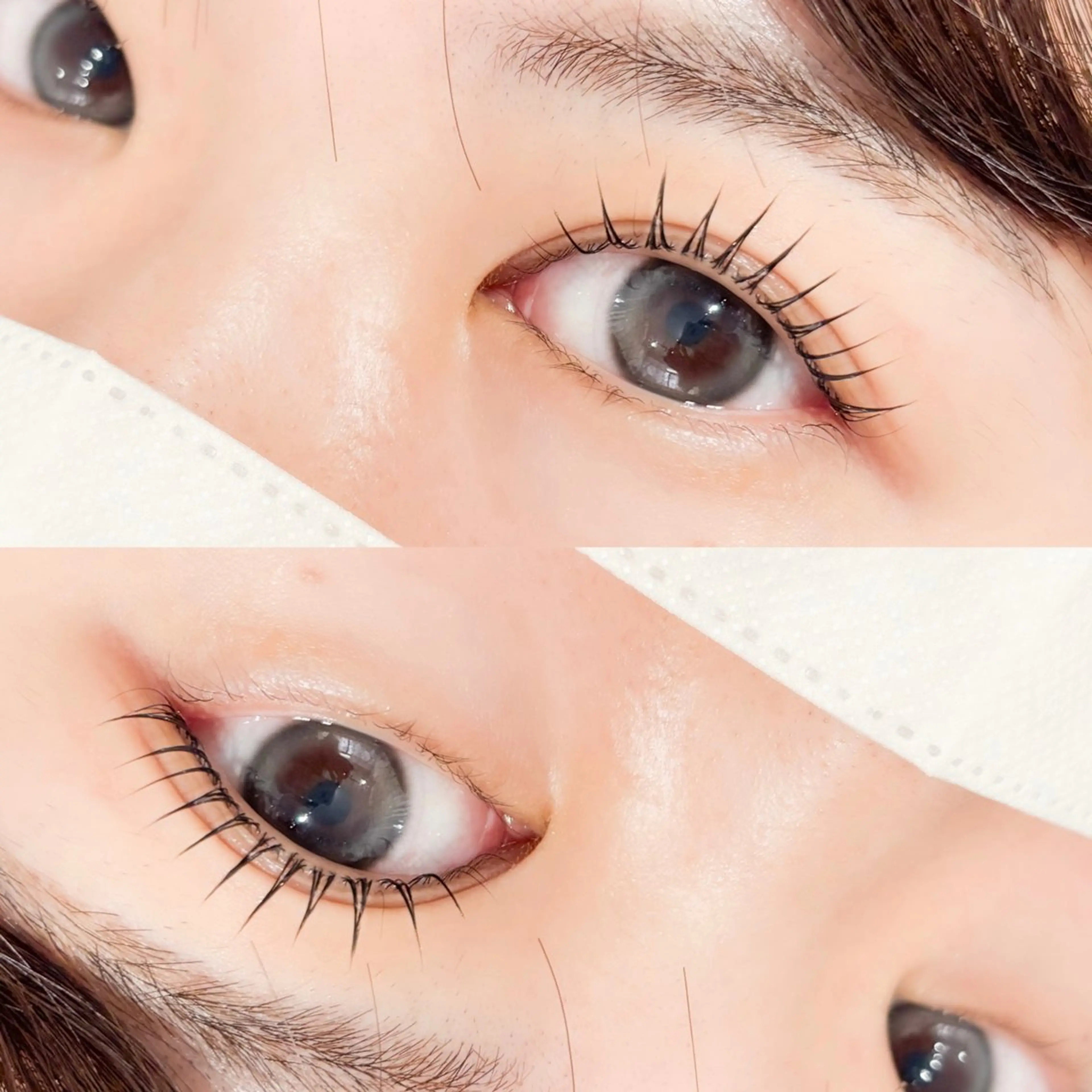 マツエク・マツパ Aprilush🦋 Cieloのマツエク・マツパデザイン