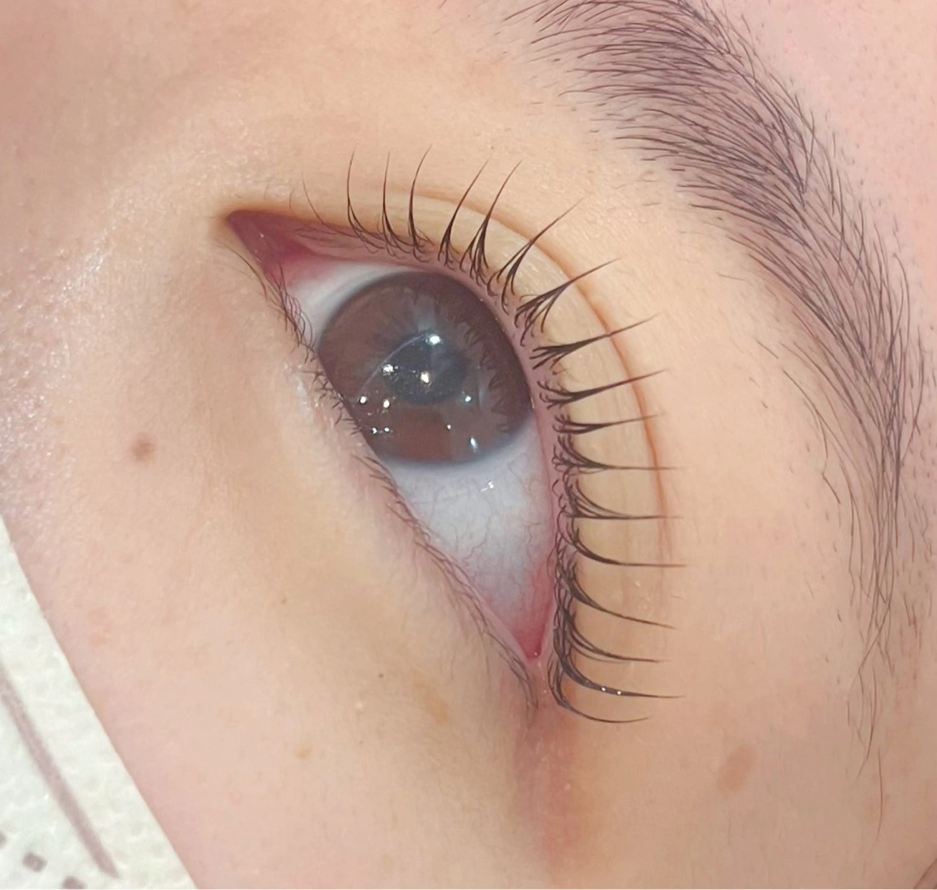 マツエク・マツパ 🤍 浅野のマツエク・マツパデザイン