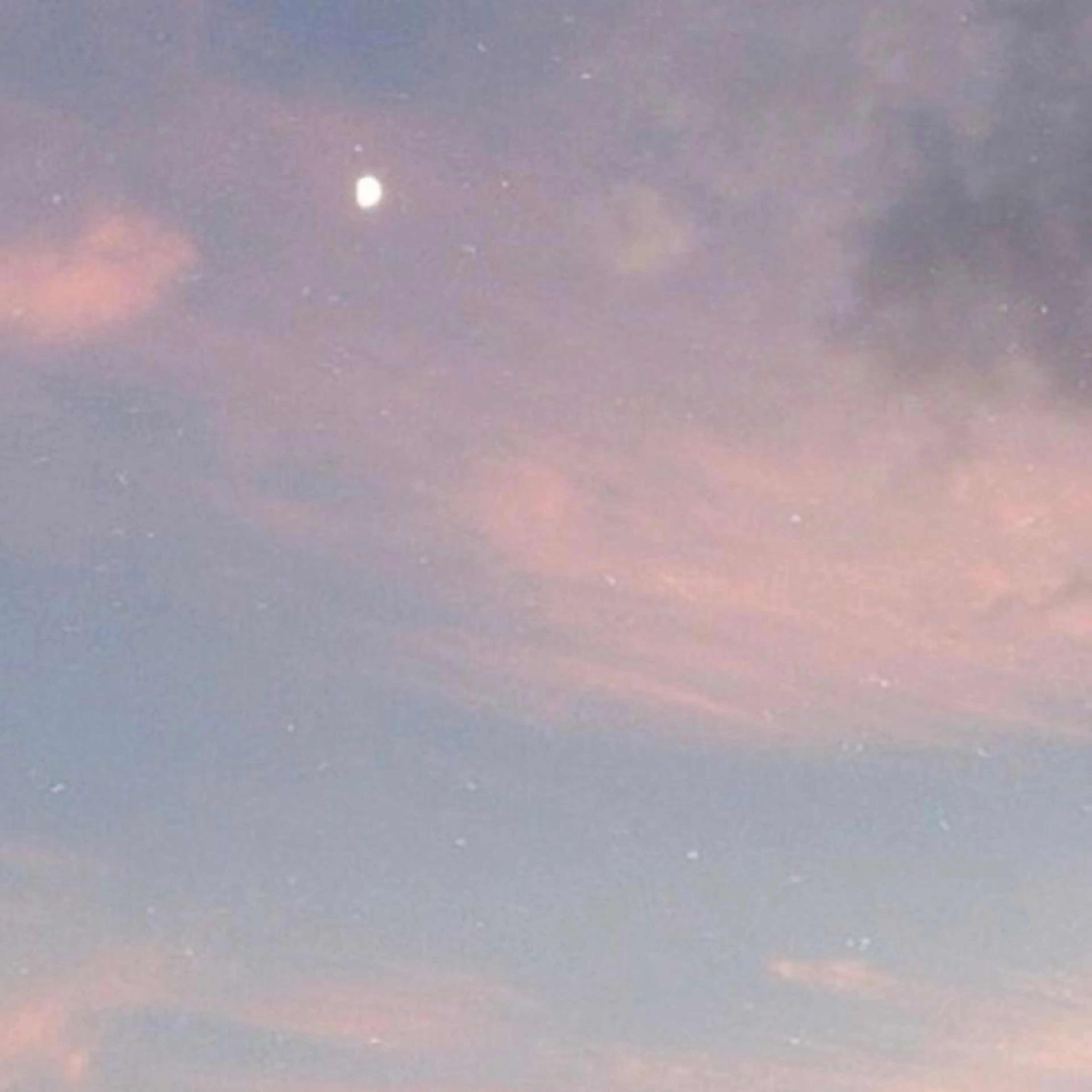 ∴Sanae. ∴ トータルビューティーのネイルデザイン