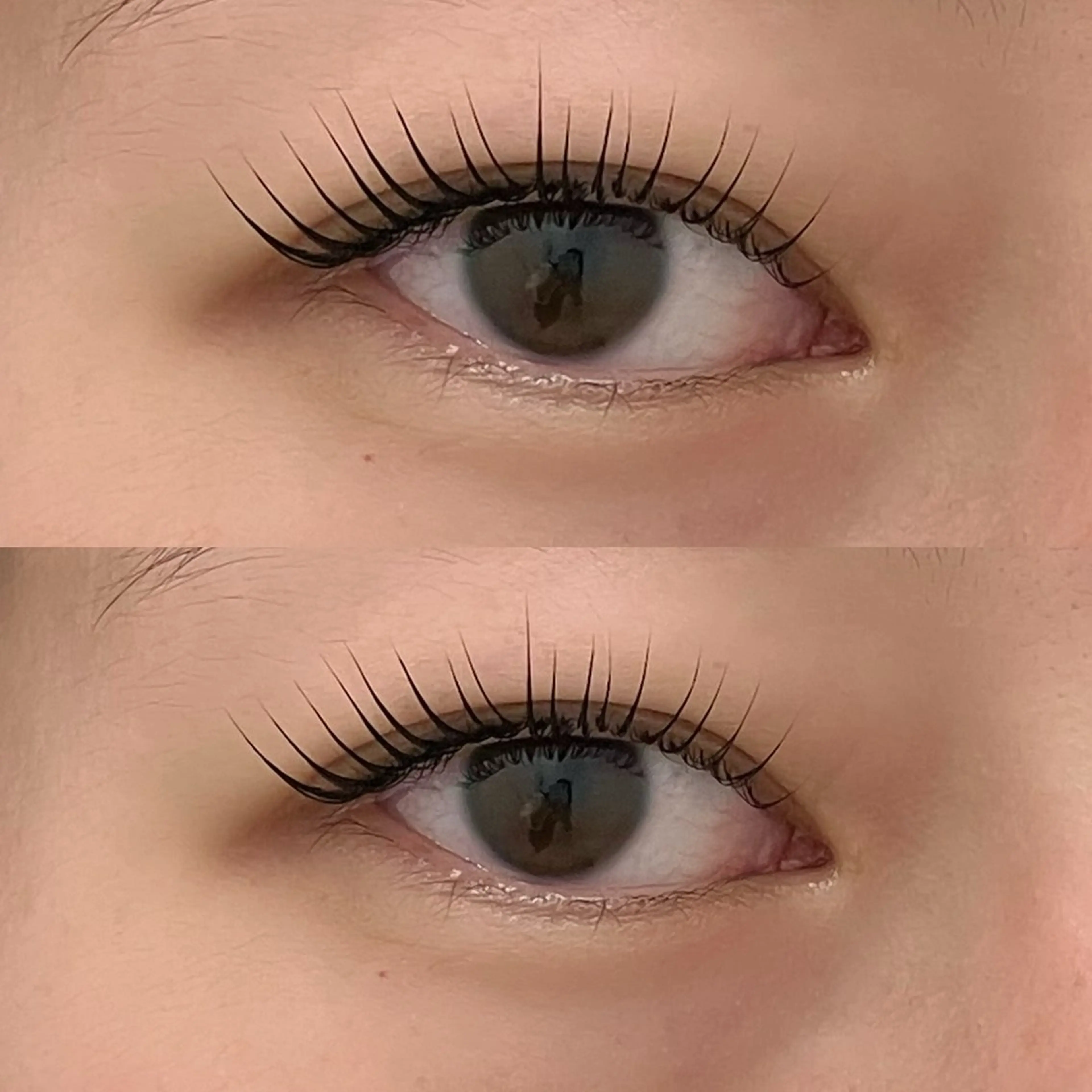 ✨L3リフト✨毛質改善まつ毛パーマの写真