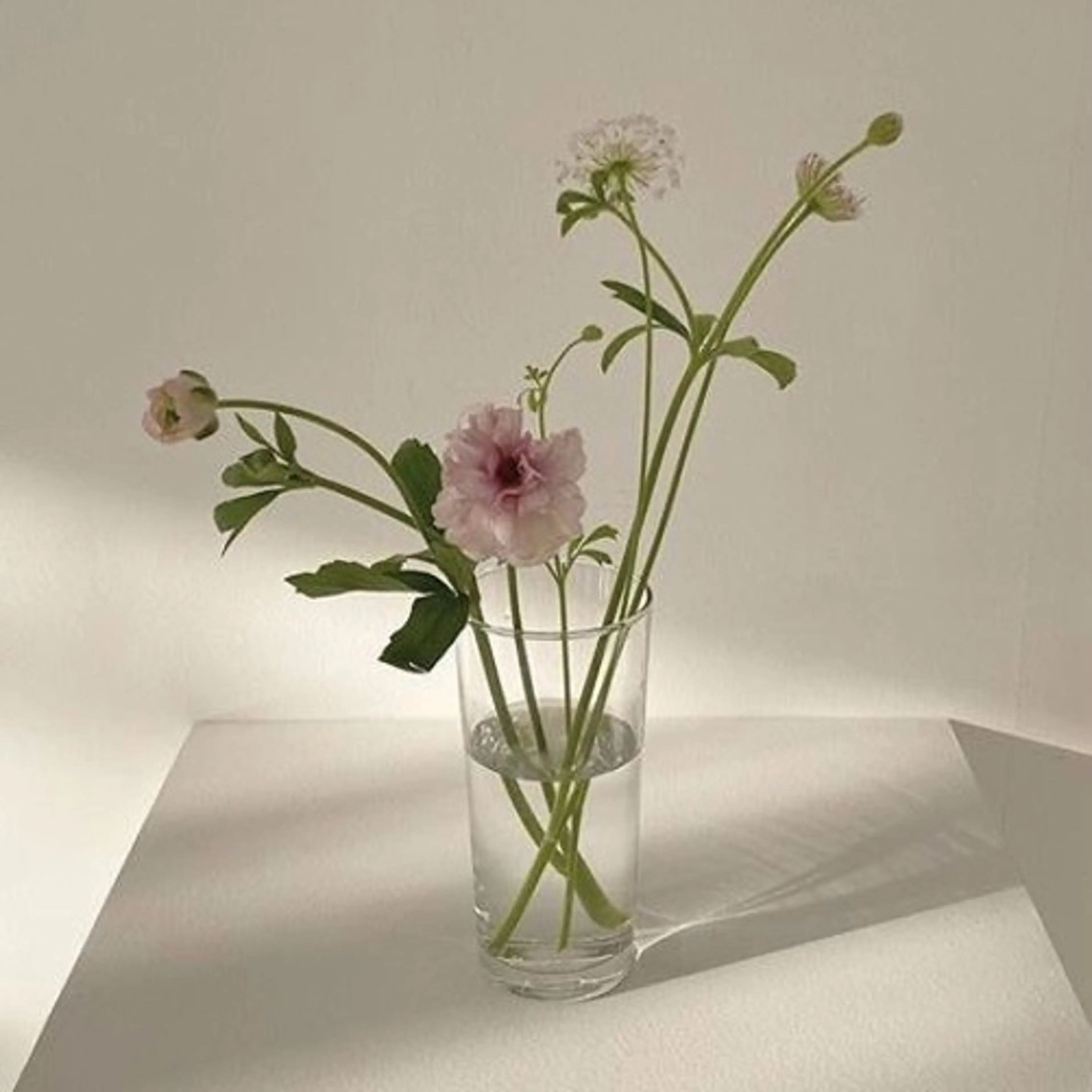 肌質改善🌷 sayuriのエステ・リラクイメージ