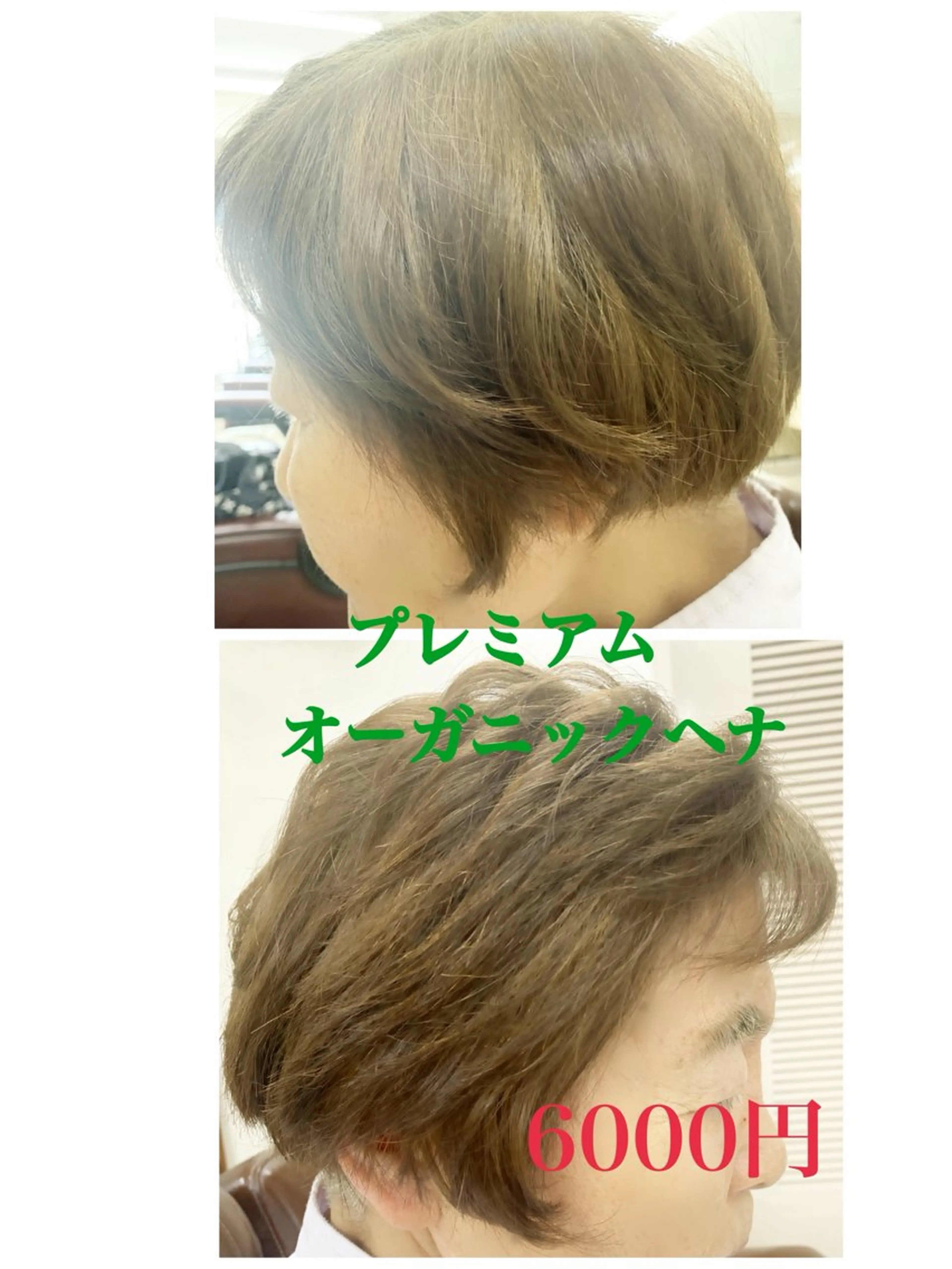 カラー 竹内 秀美のヘアスタイル