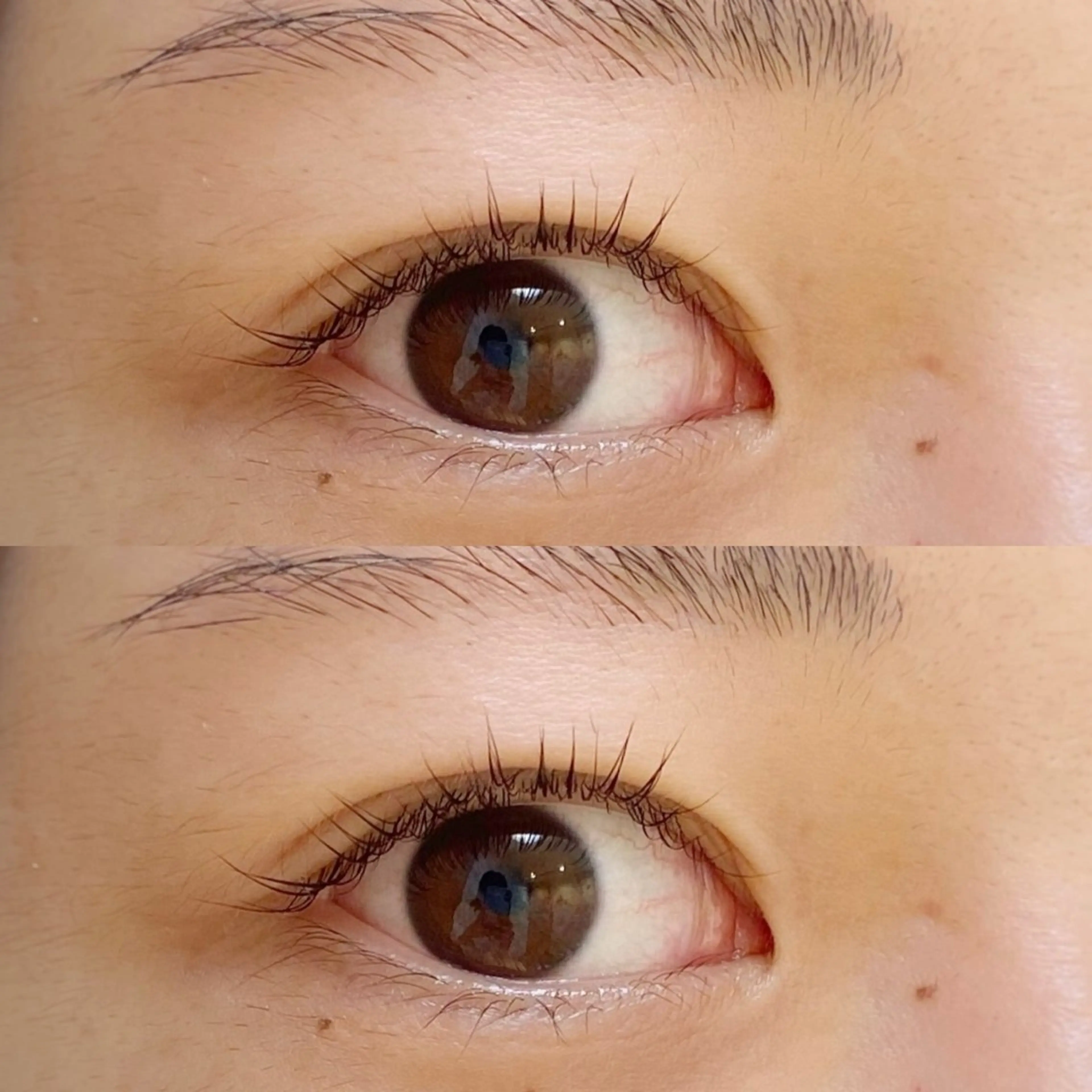 お得に！ぱっちりまつ毛パーマ上のみの写真