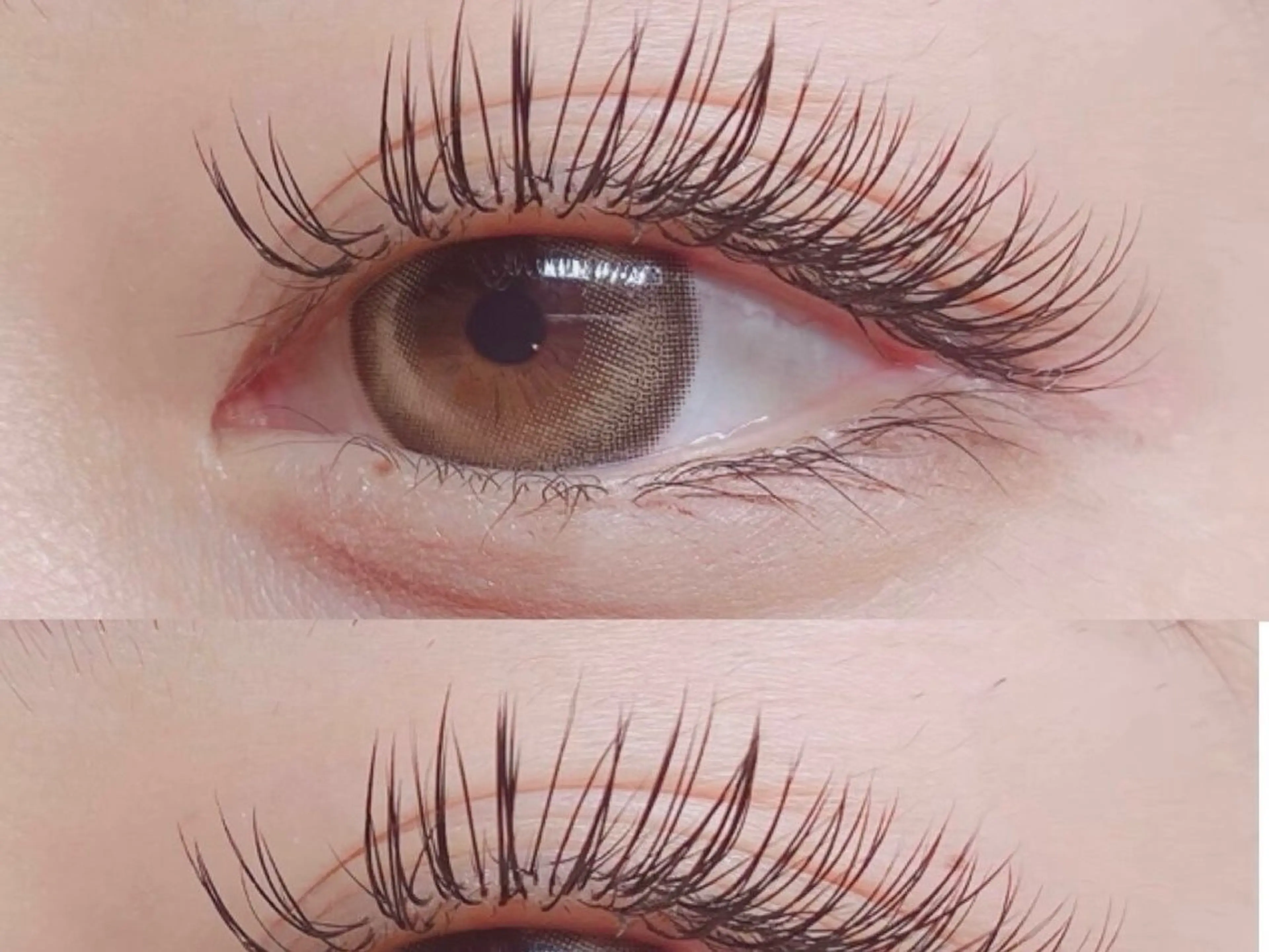 オフなし⛱マツエクモデル120本✨️‪🧡‬‪の写真