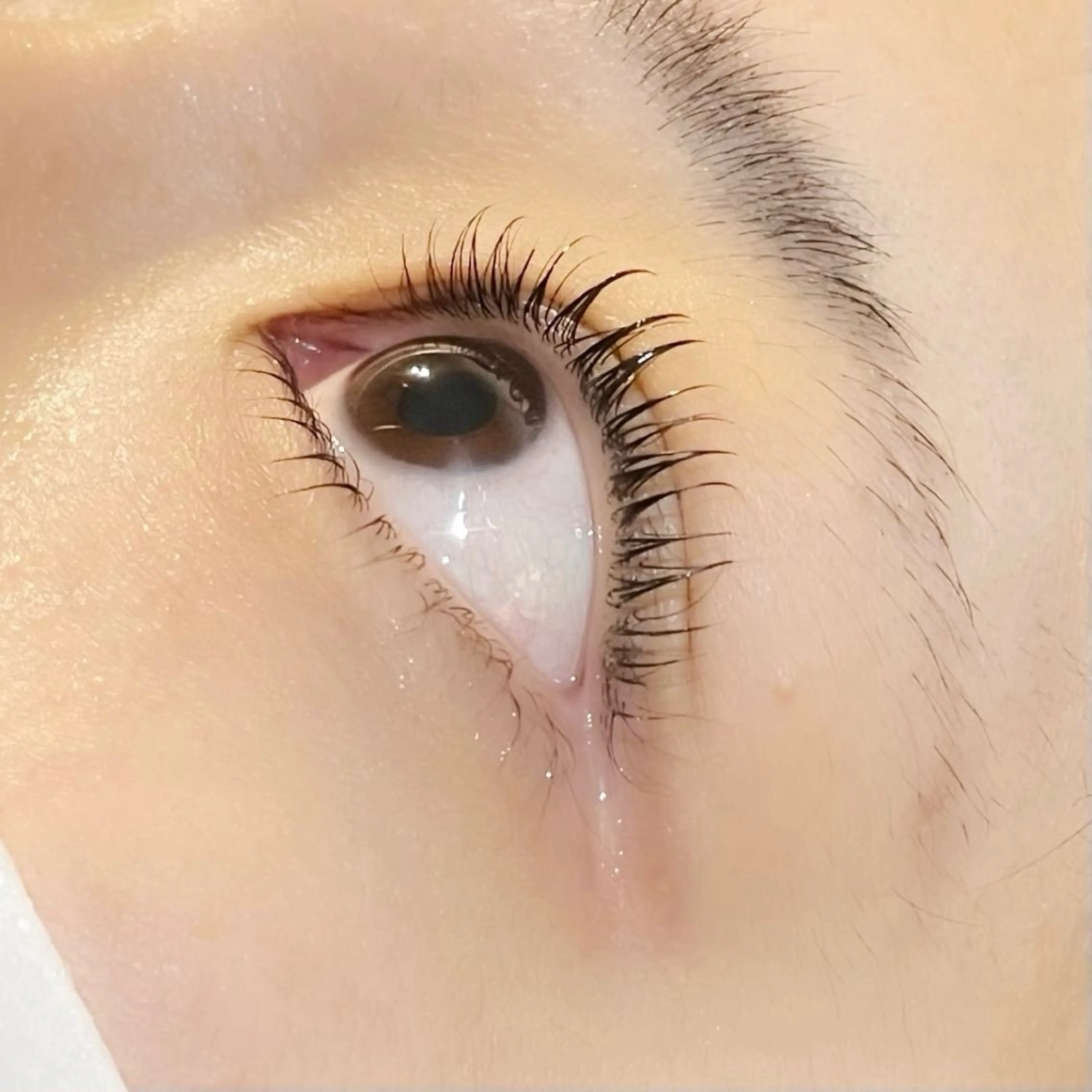 マツエク・マツパ peep八田店 マホ🐾のマツエク・マツパデザイン