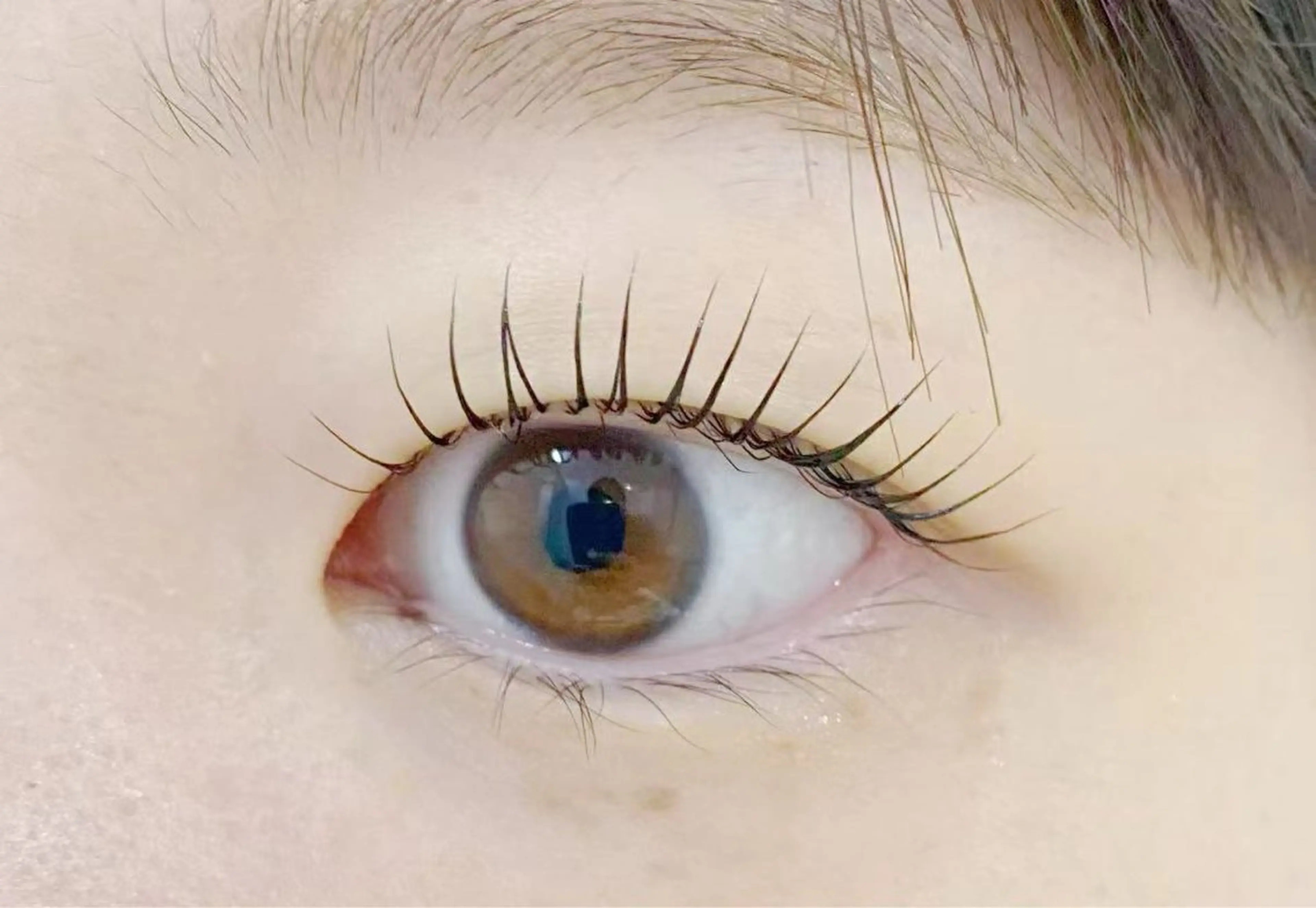 人気NO2 [パリゼェンヌラッシュリフト]根本から80度立ち上げストレート🌸(美容液付)の写真