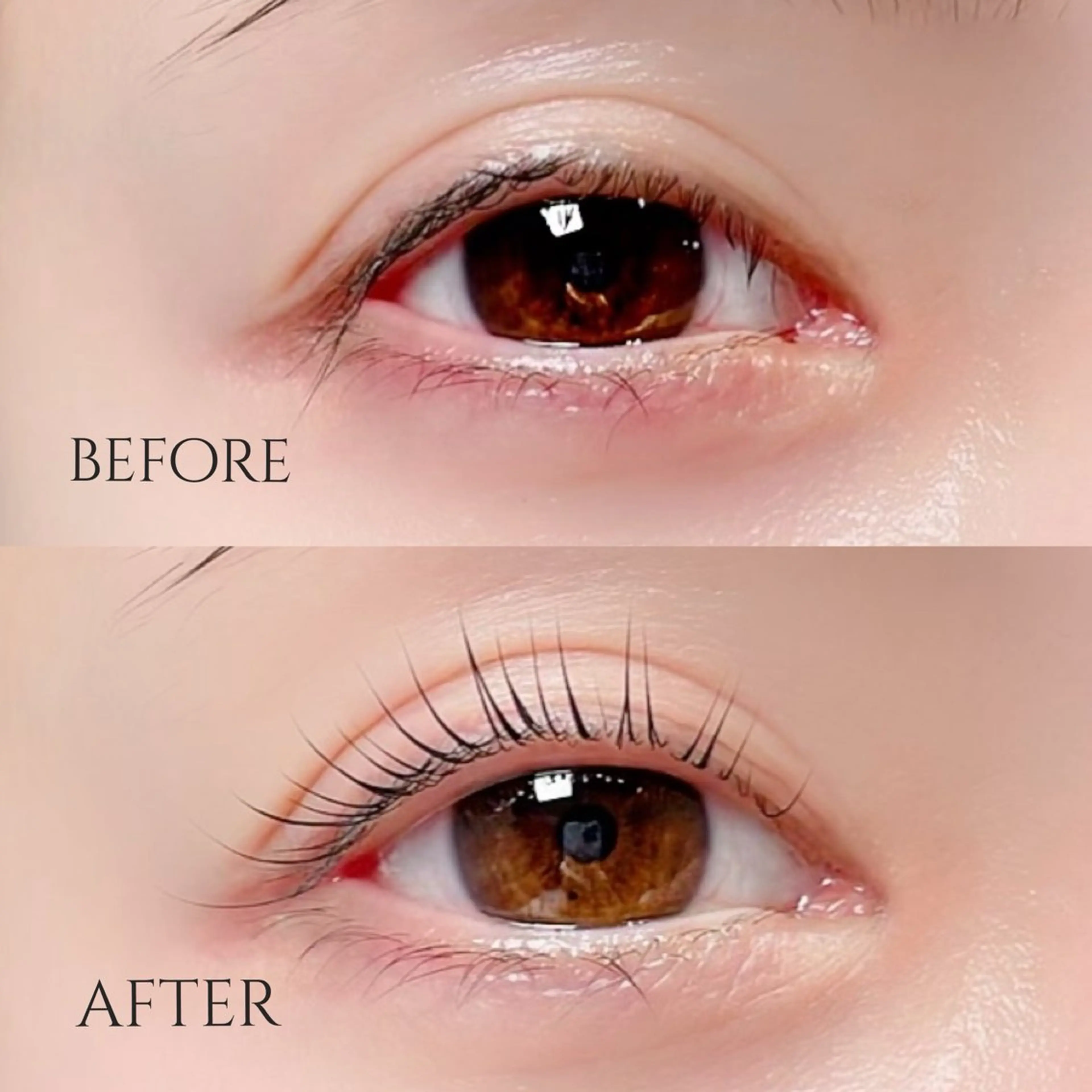 マツエク・マツパ ナチュラル MOMOE 恵比寿 まつげパーマのマツエク・マツパデザイン