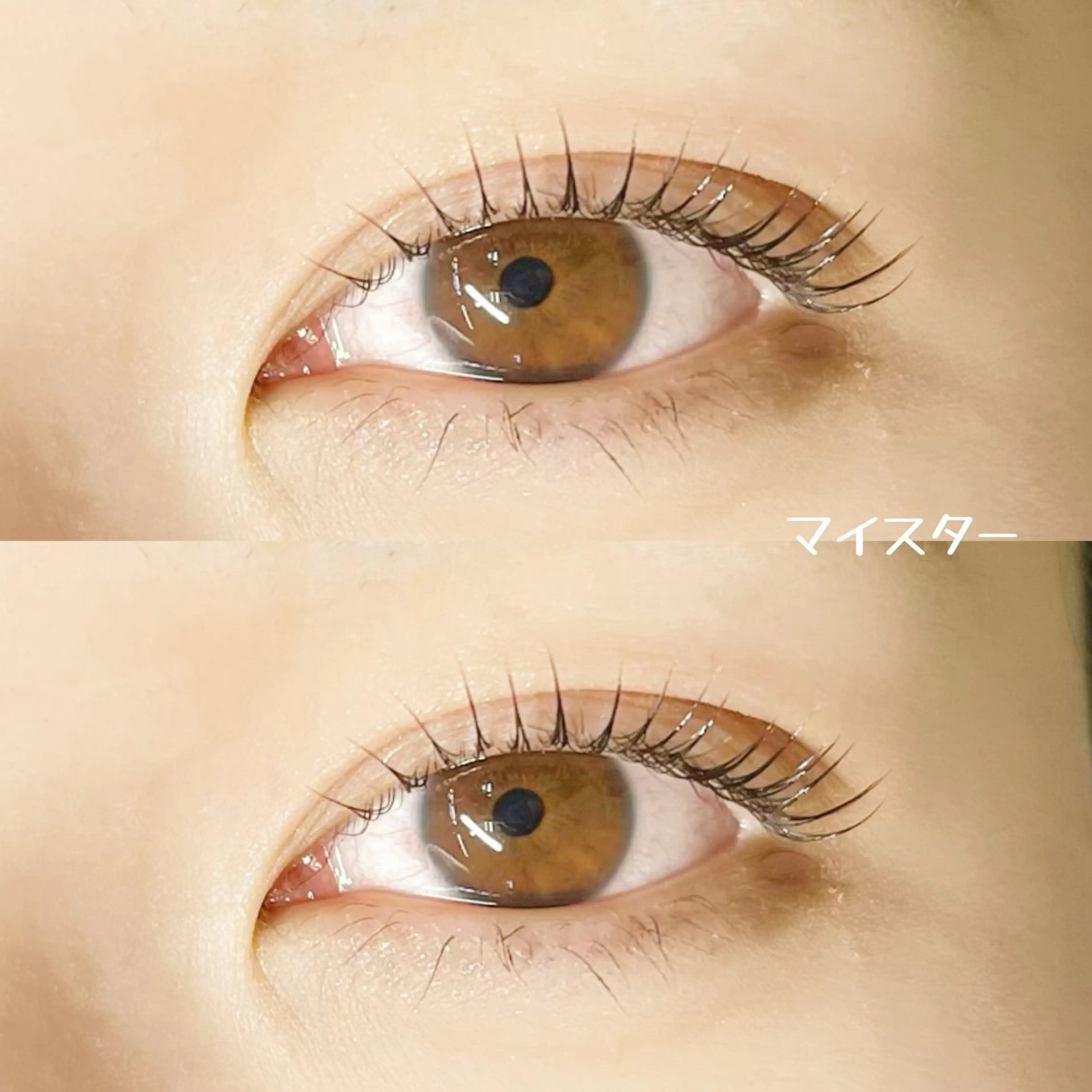 【リピーター】ラッシュリフト(上)👆🏻🌈美容成分たっぷり束感コーティング仕上げ付き🫧 ͛.*の写真