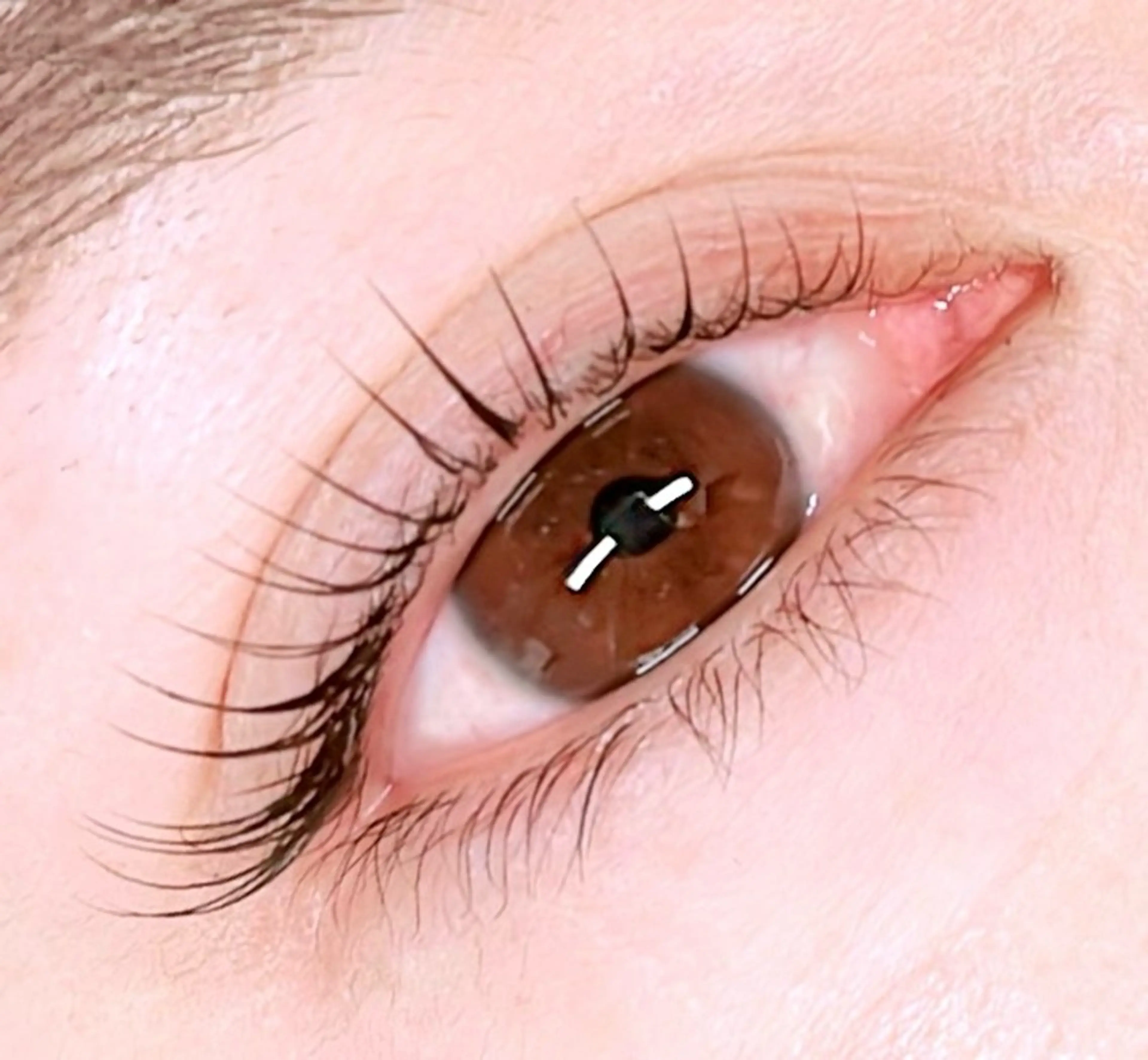 【モニター様限定】セーブルラッシュ付け放題(MAX140本)+まつげカールの写真